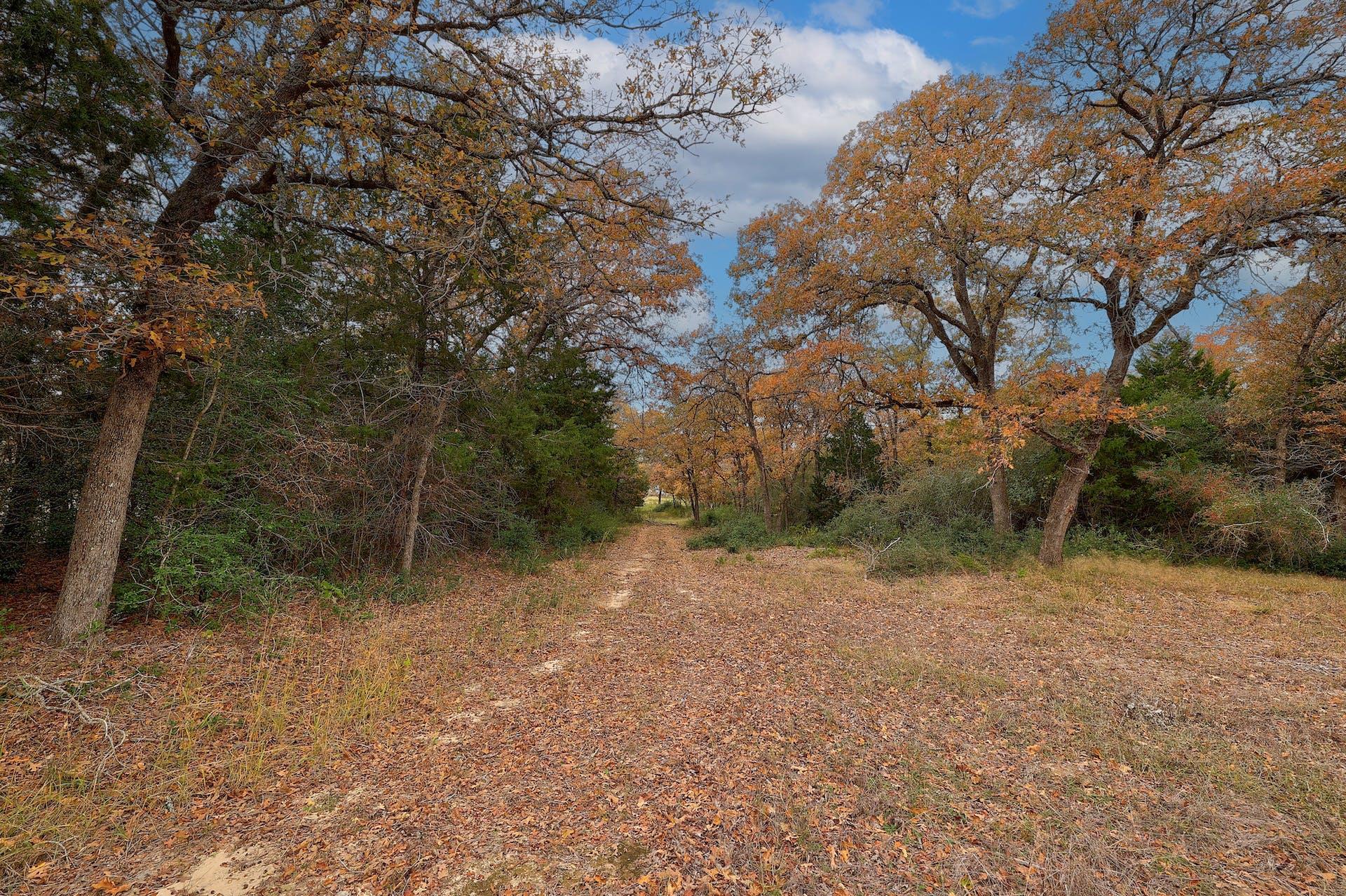 1563 County Road 312 RD