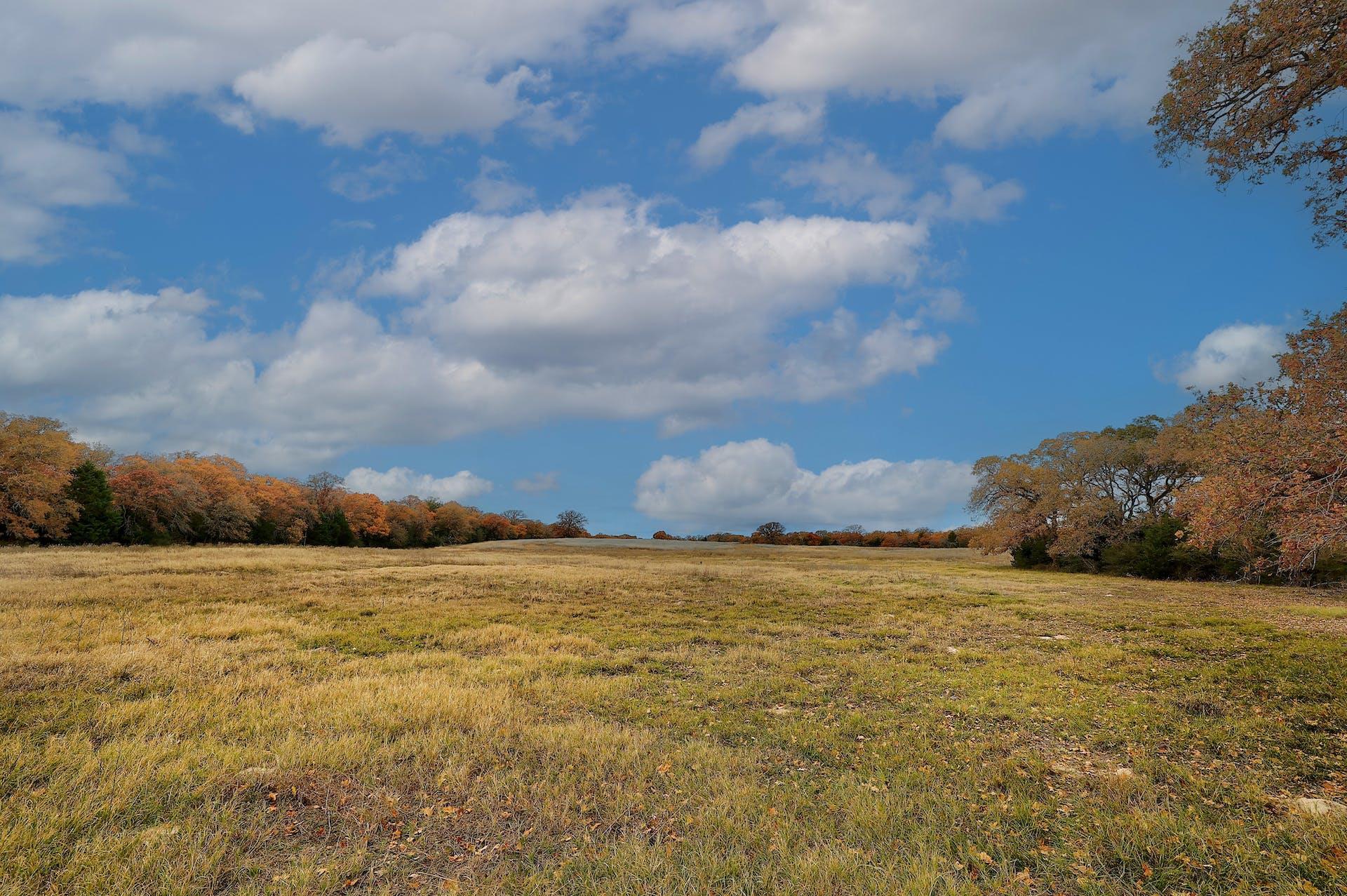 1563 County Road 312 RD