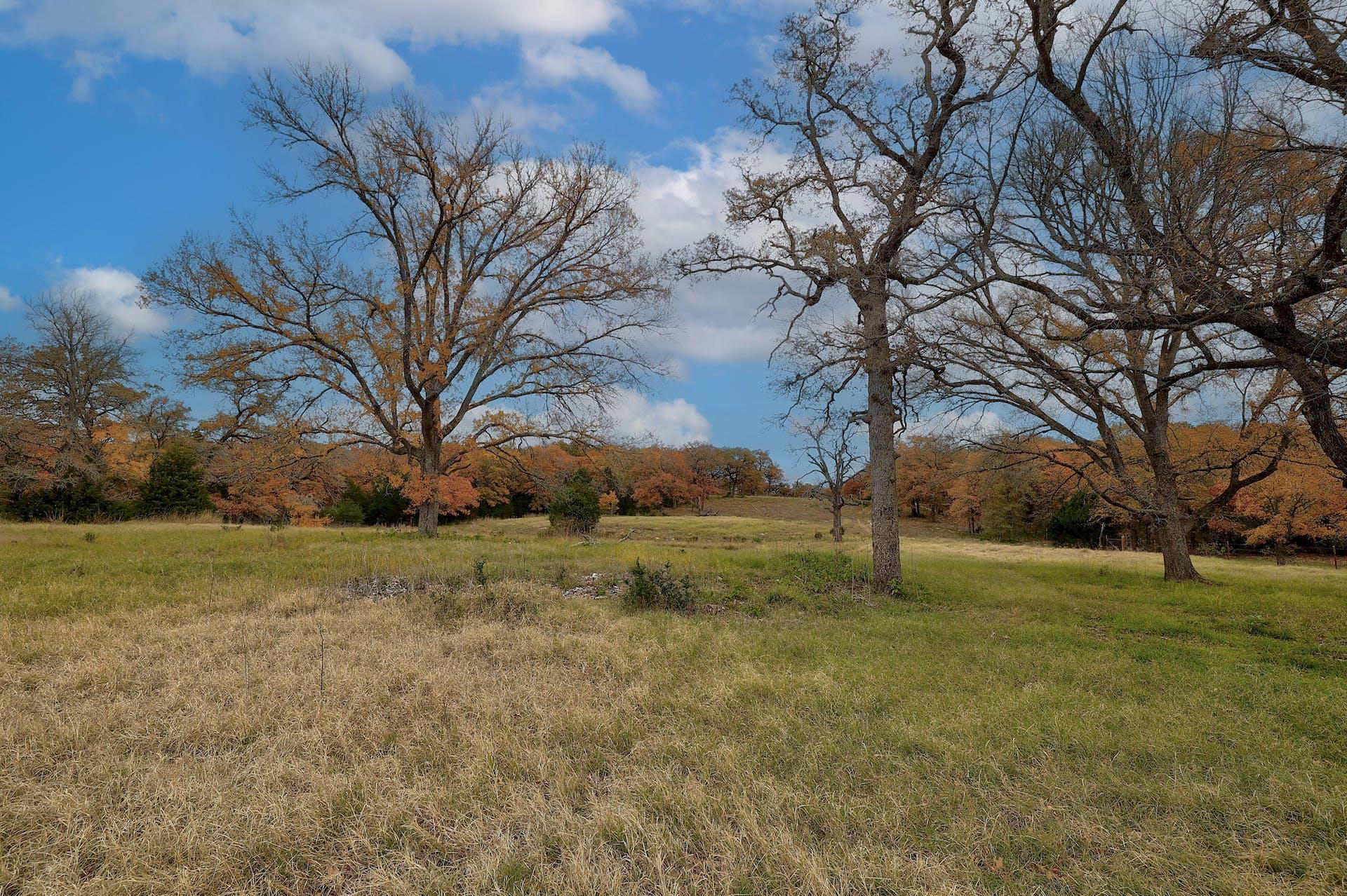 1563 County Road 312 RD