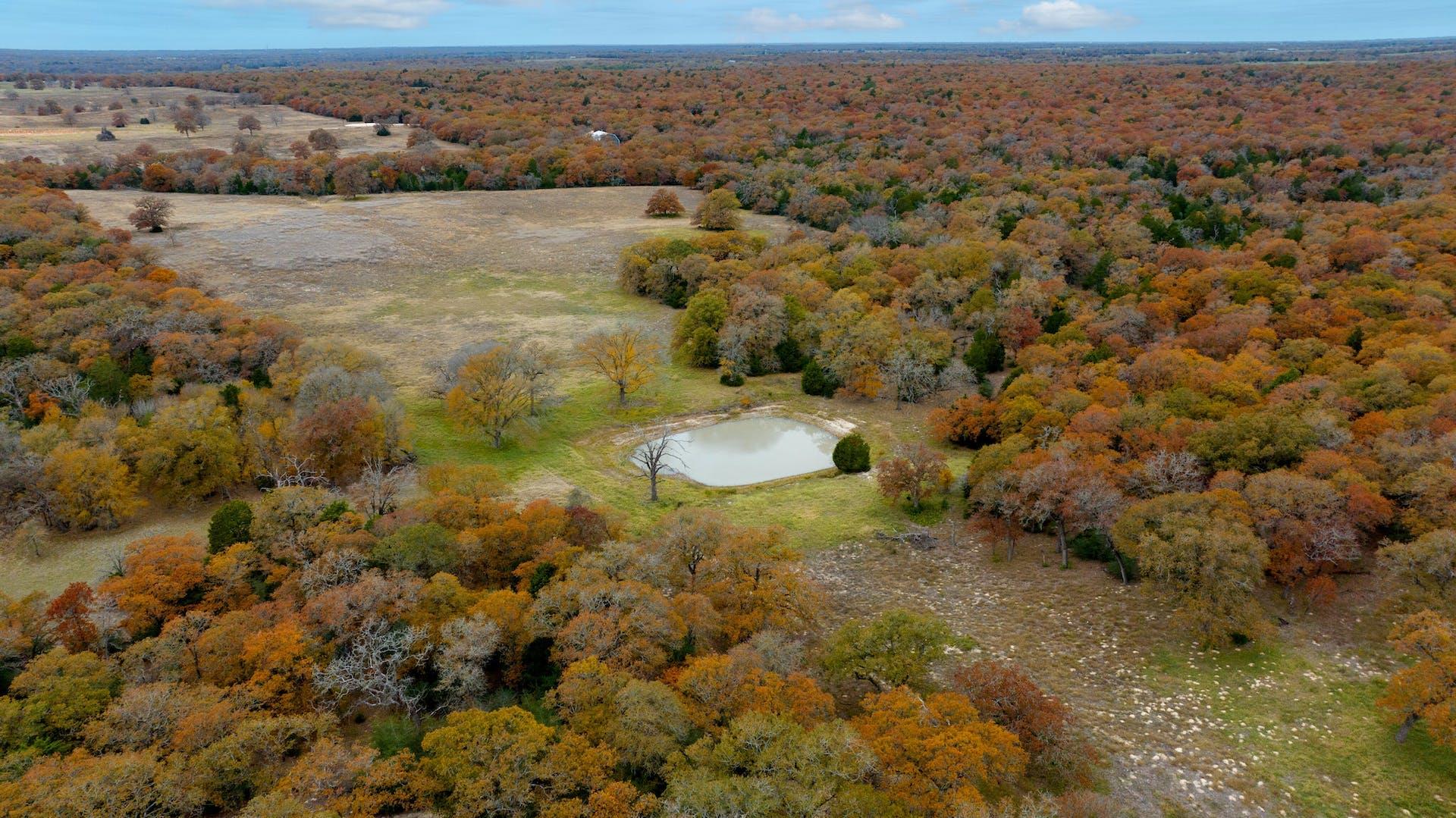 1563 County Road 312 RD