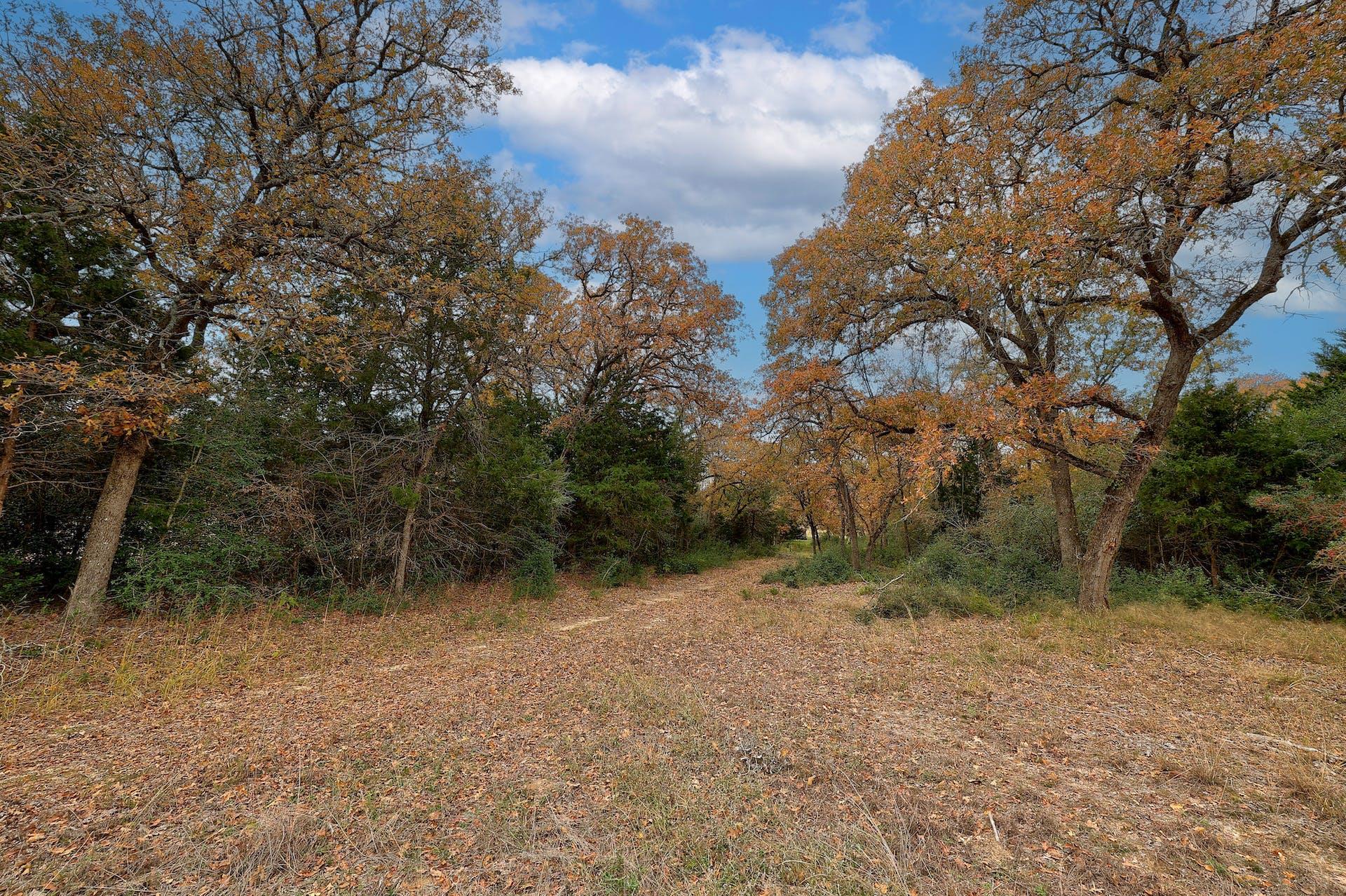 1563 County Road 312 RD