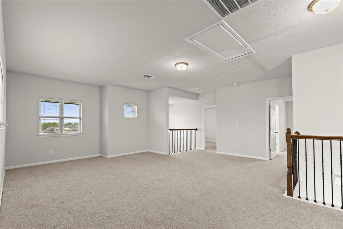 213 Munk LN