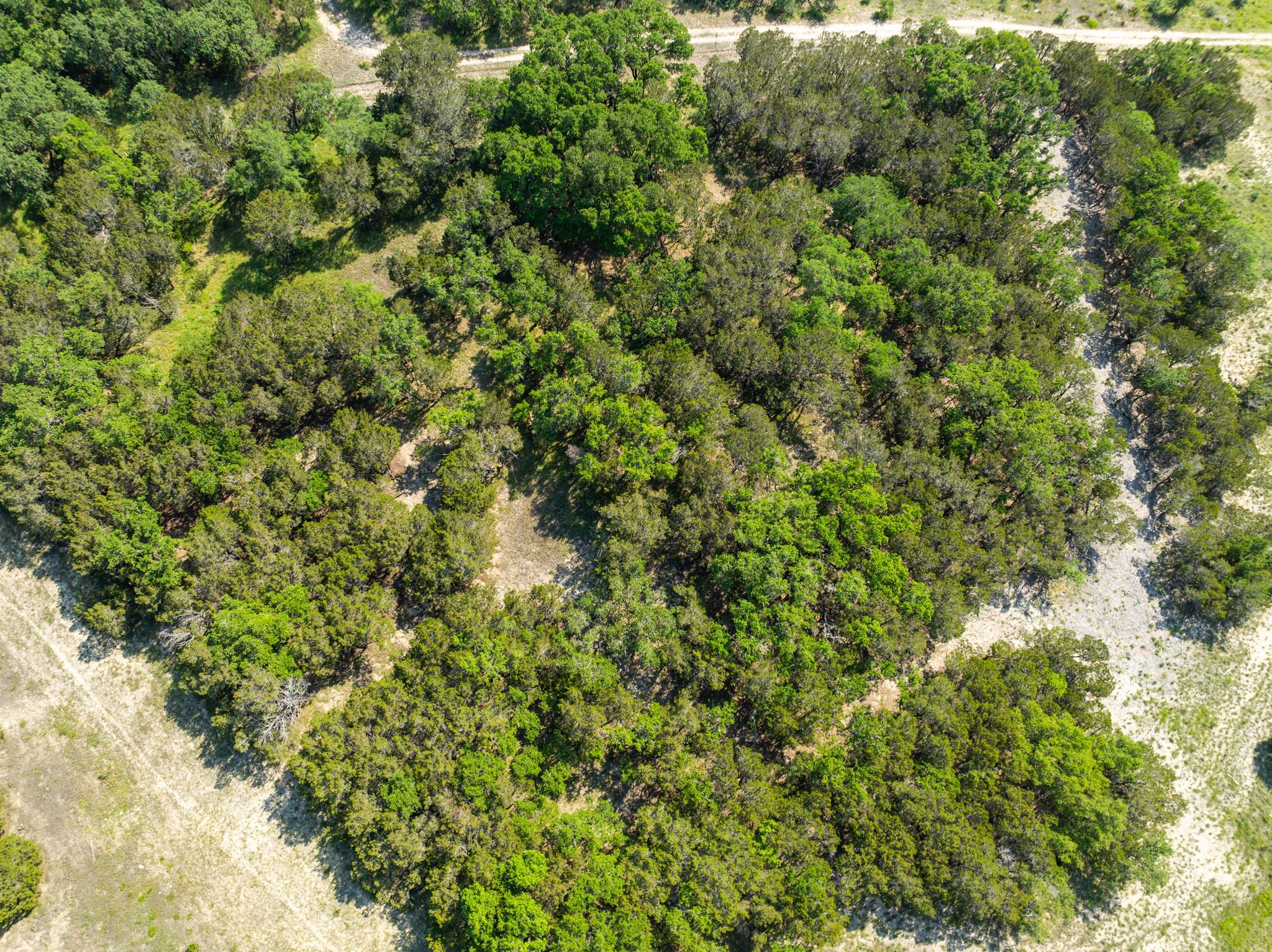 Lots 58-59 Shin Oak DR