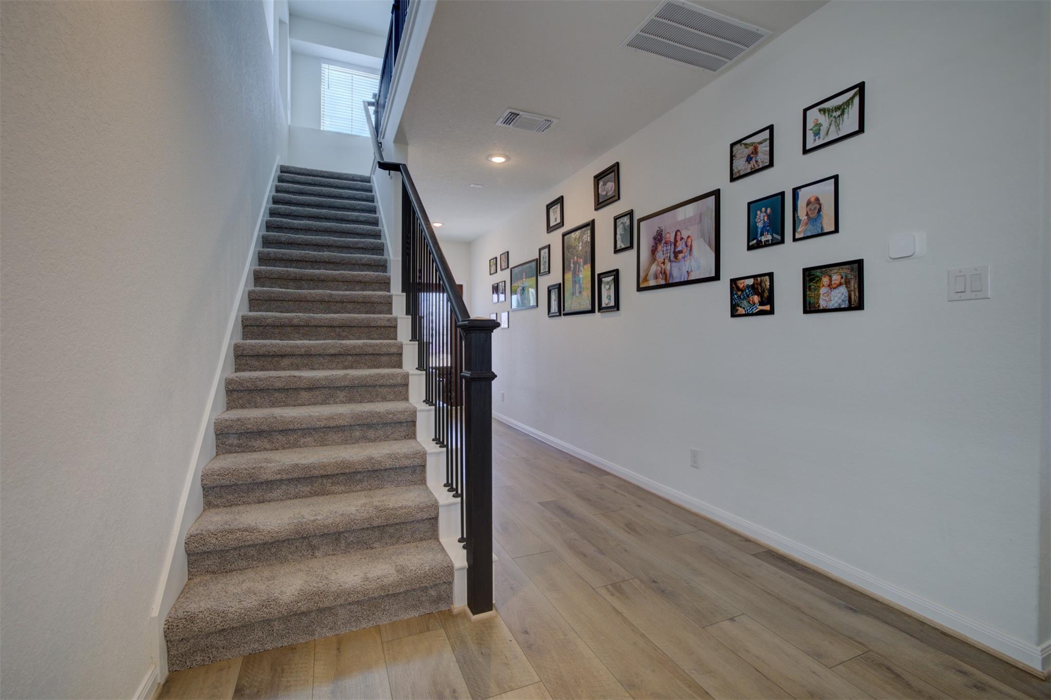3257 Fox Sedge