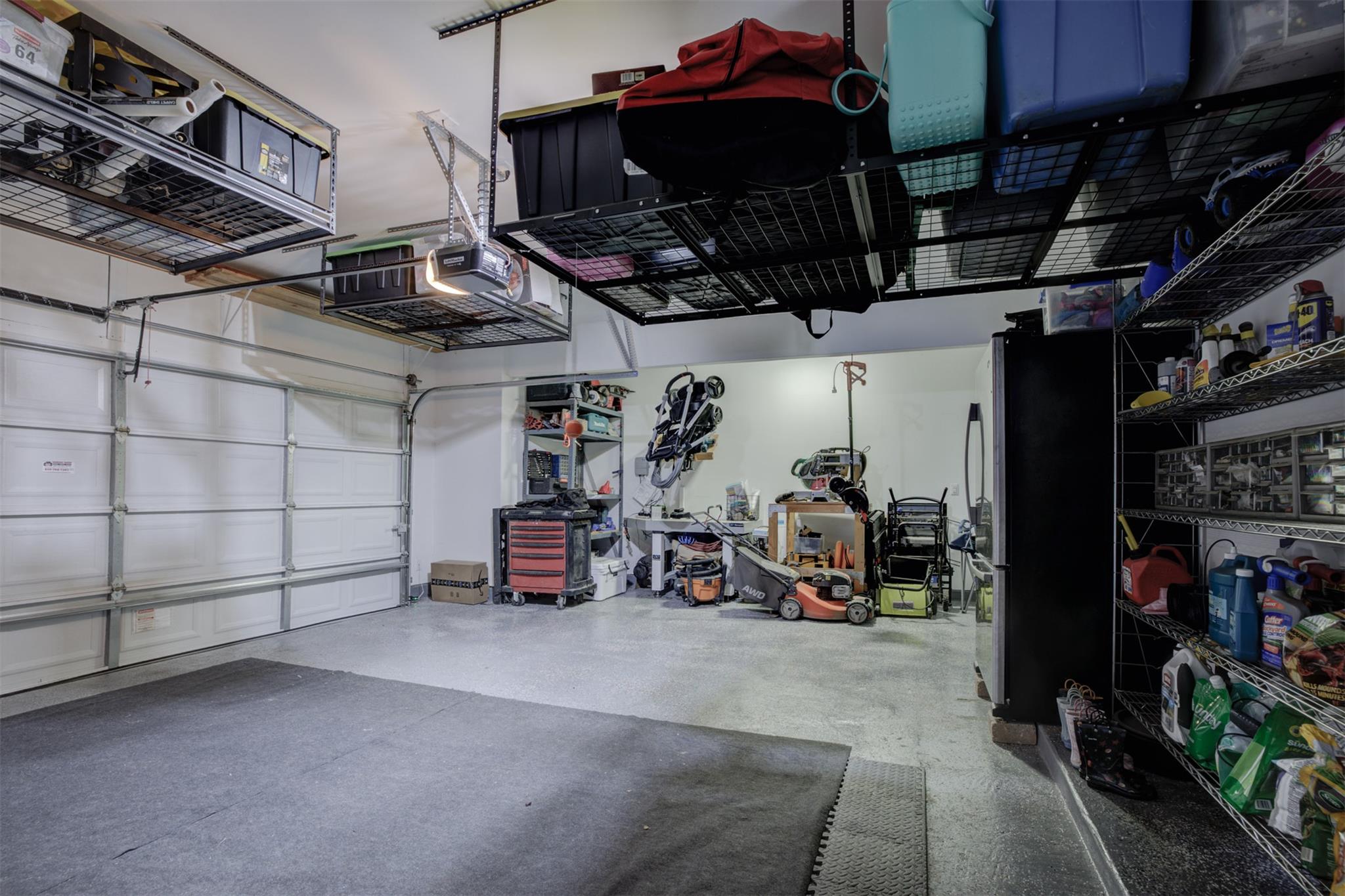 3257 Fox Sedge