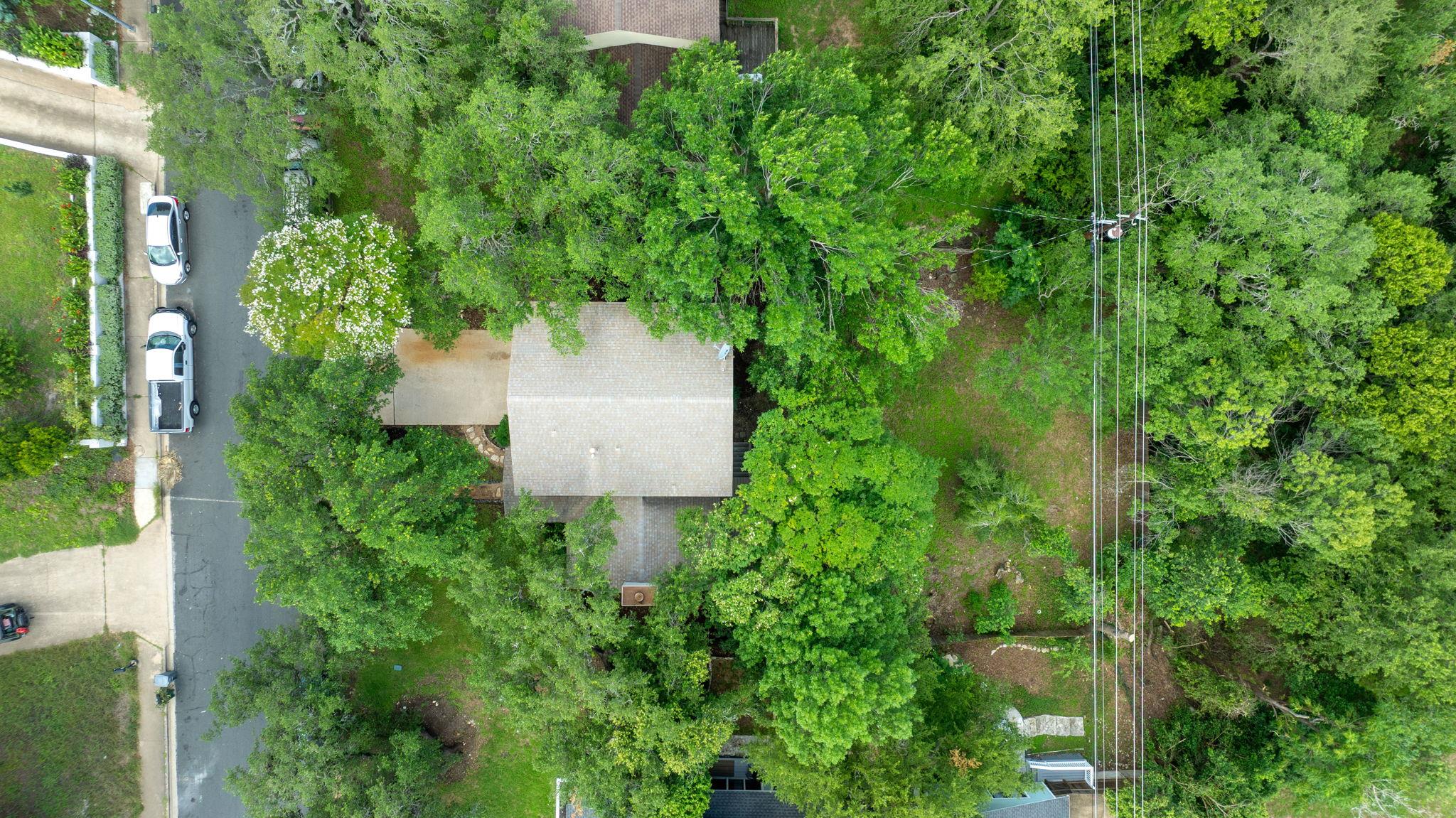 3633 Peregrine Falcon DR