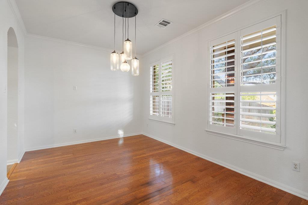 908 Golden Palomino CT