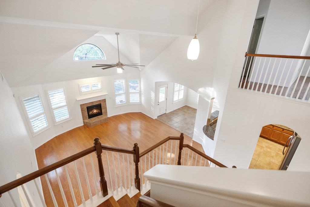 908 Golden Palomino CT