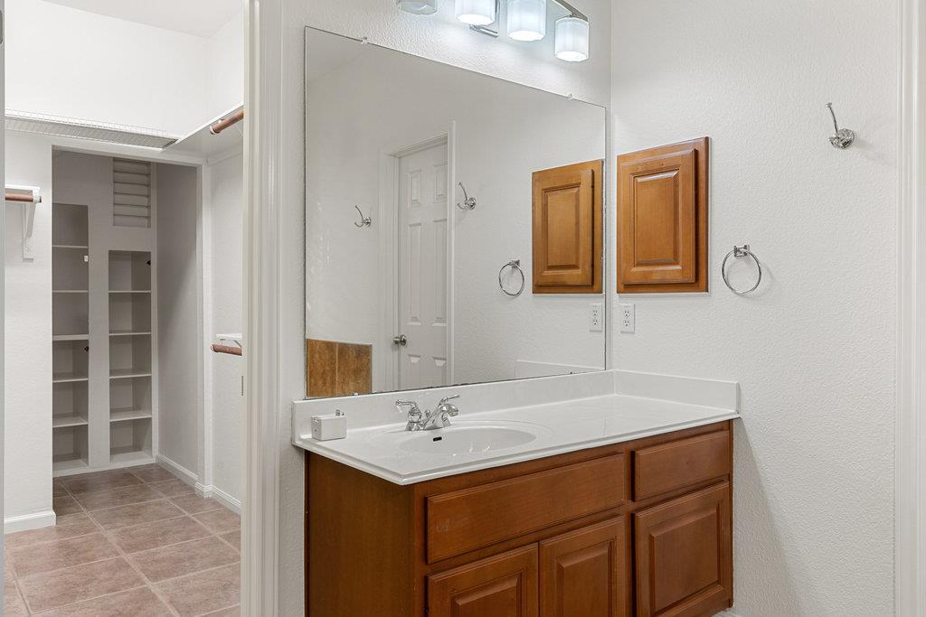 908 Golden Palomino CT