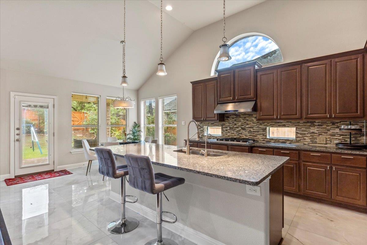 2997 Agave LOOP