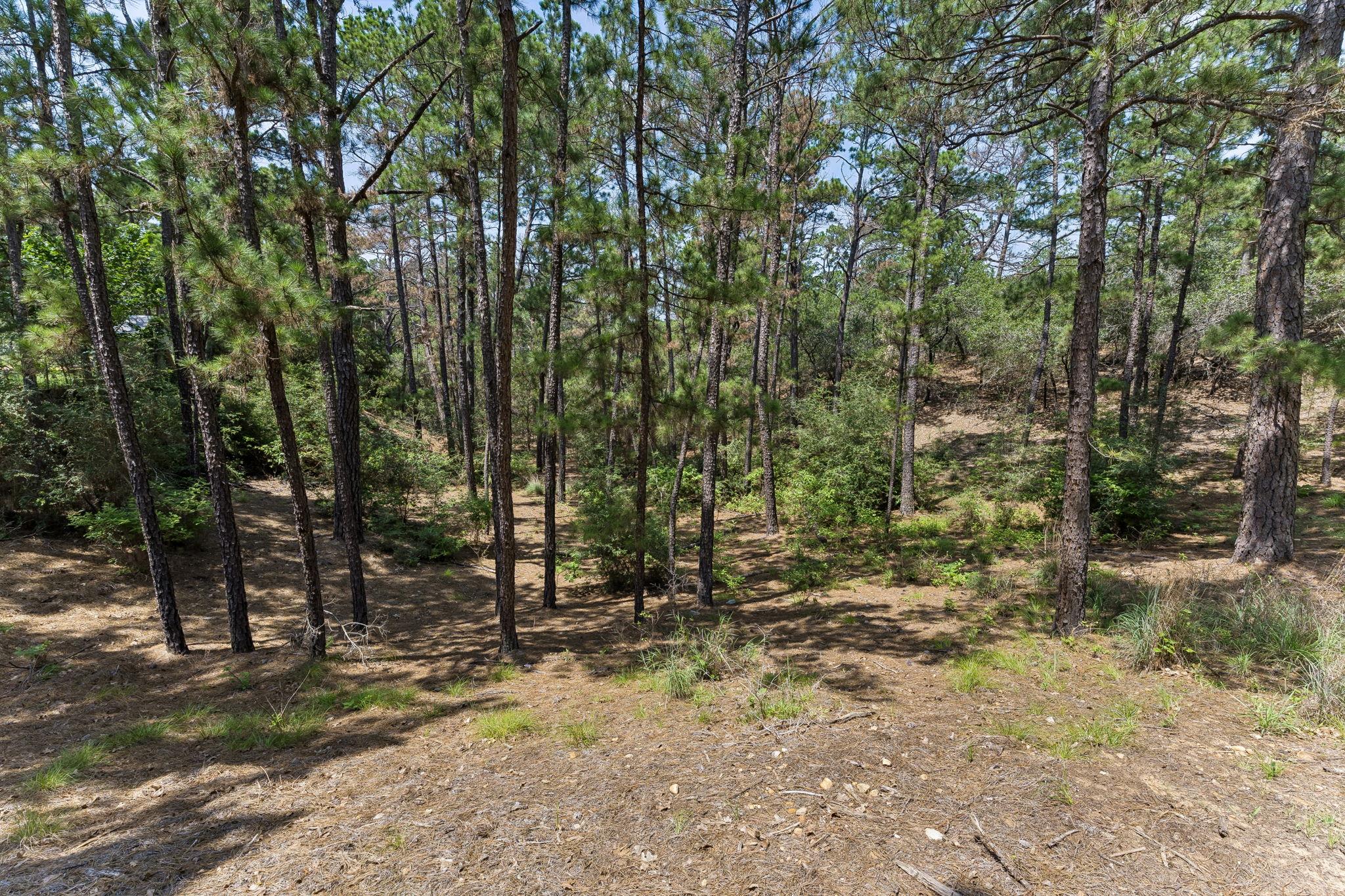 138 Papawai DR
