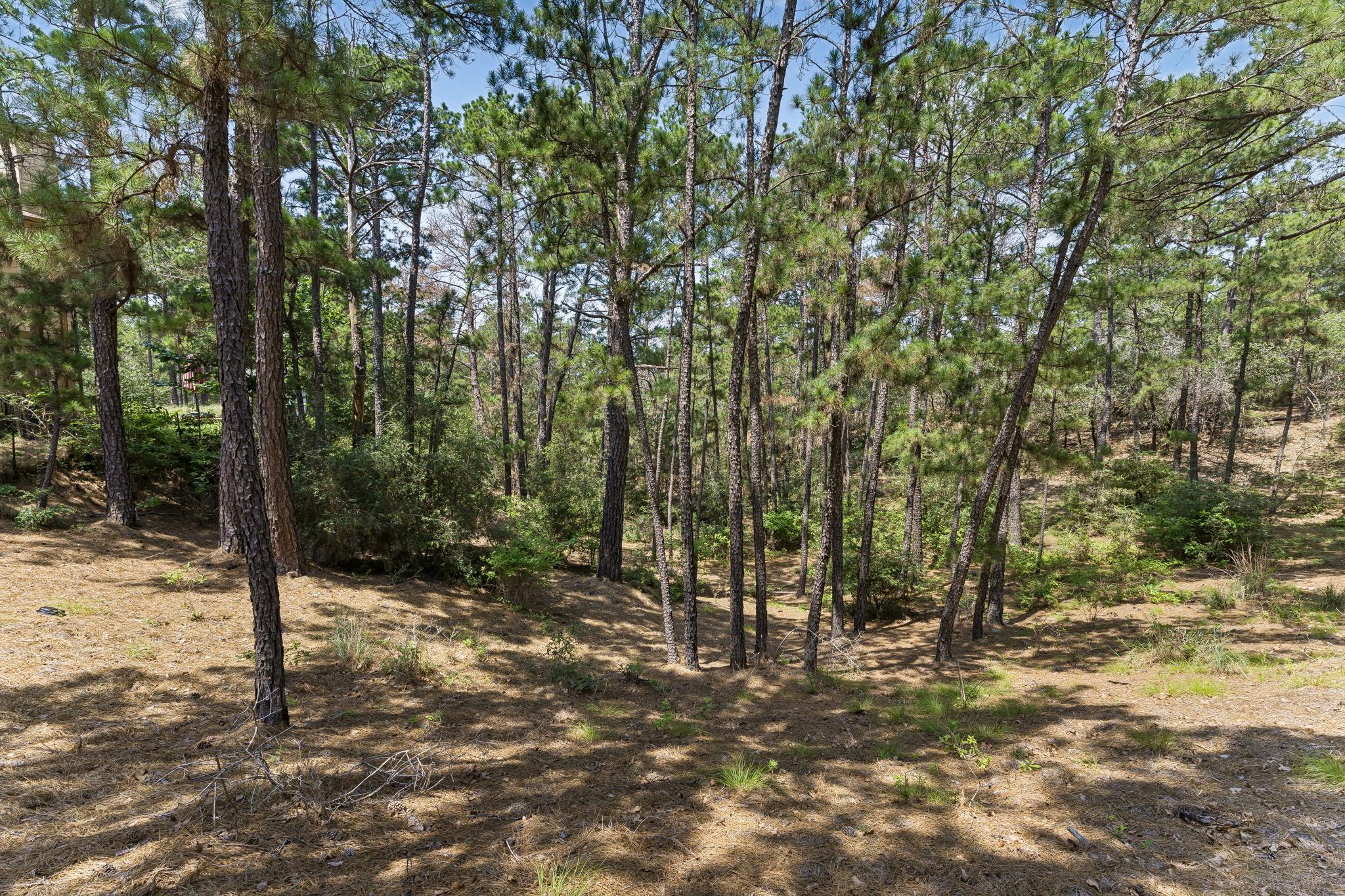 138 Papawai DR