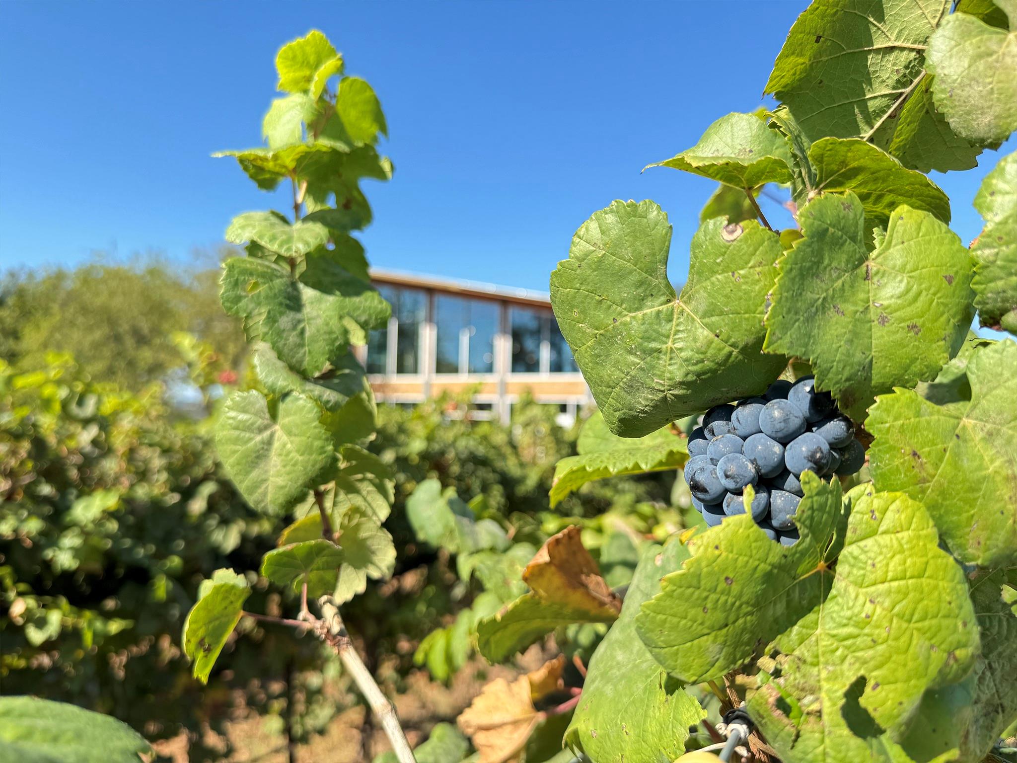 9361 W Us Highway 290 # 3