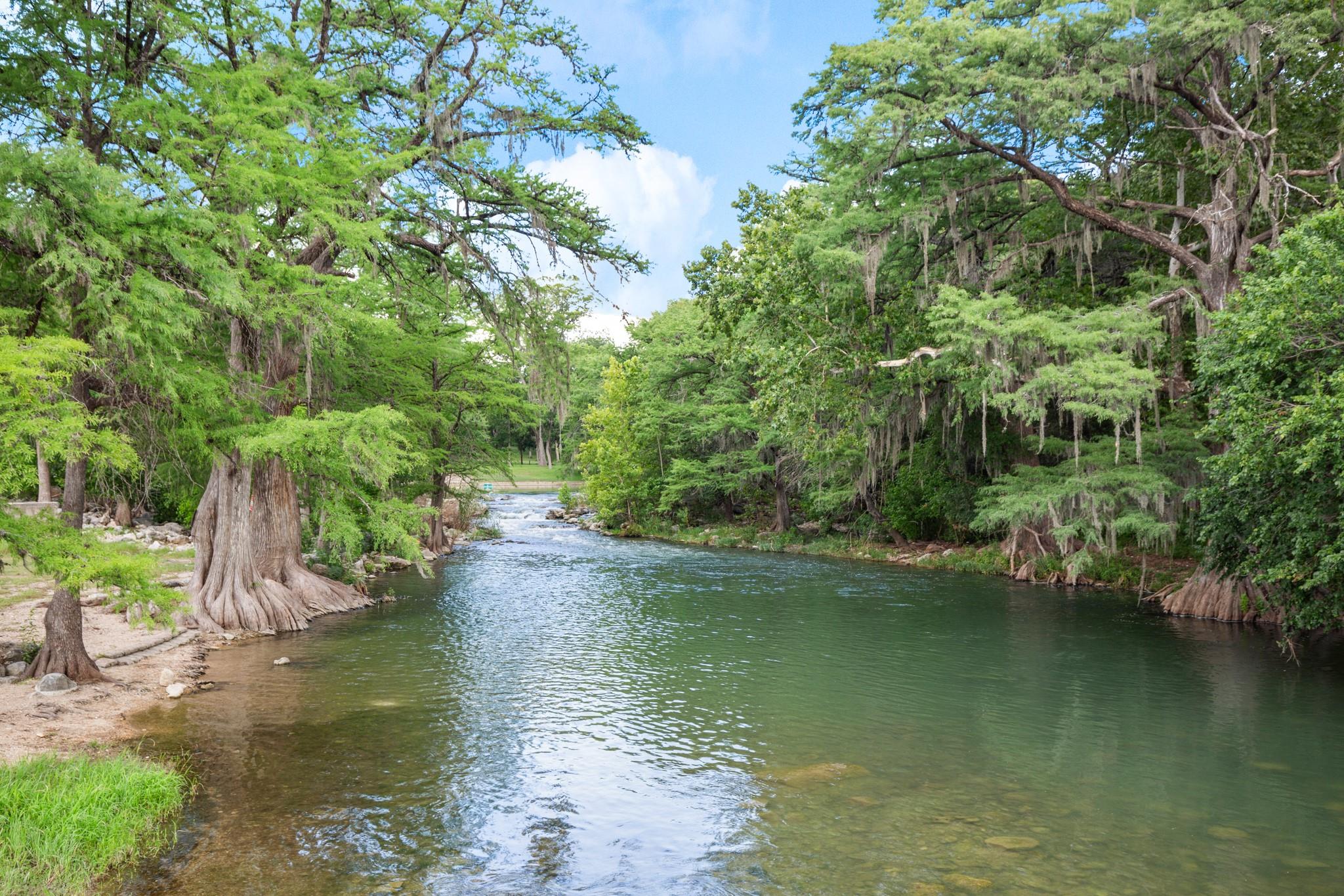 1015 Lime Gruene