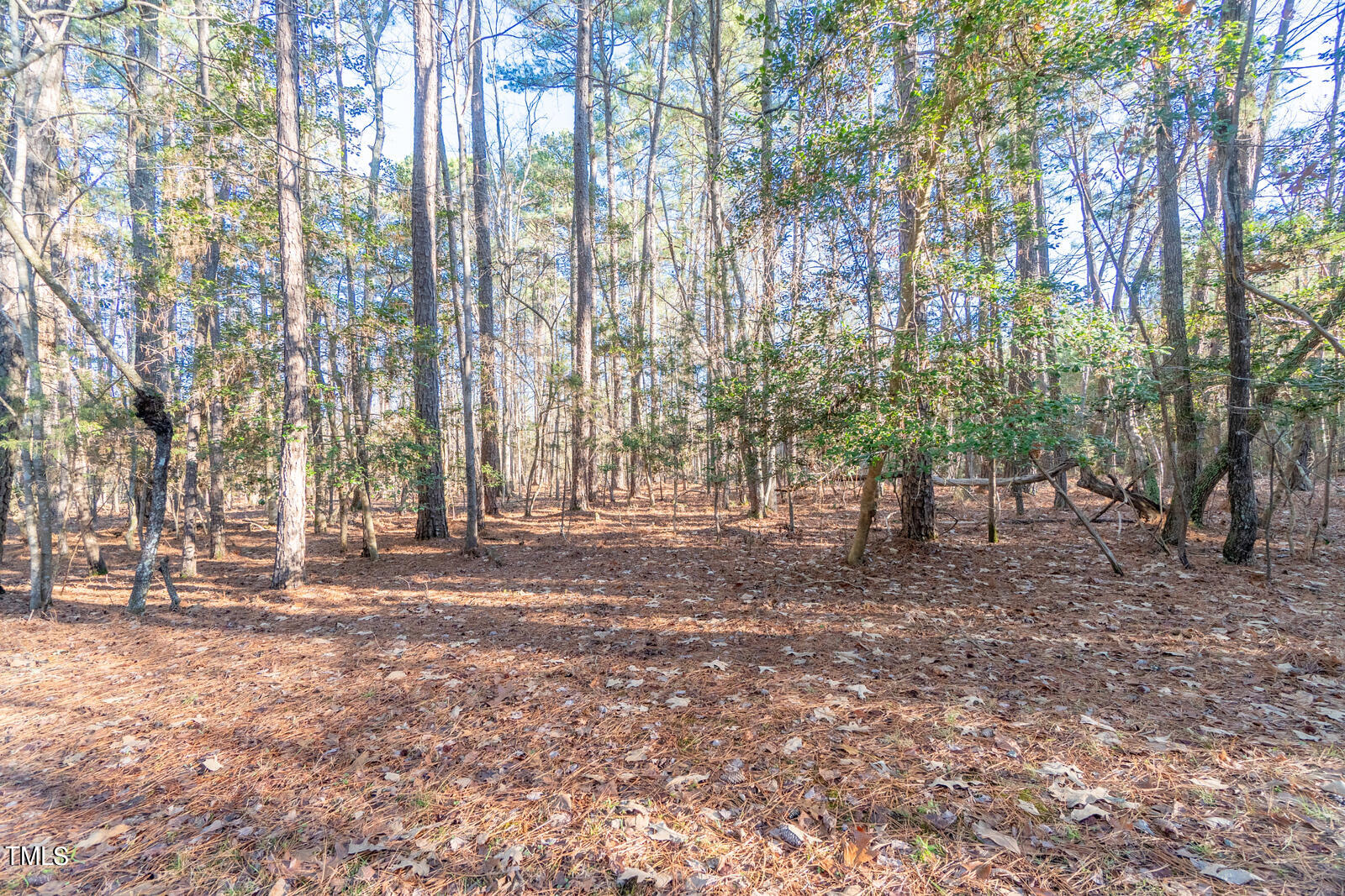 2401 Outrider Road