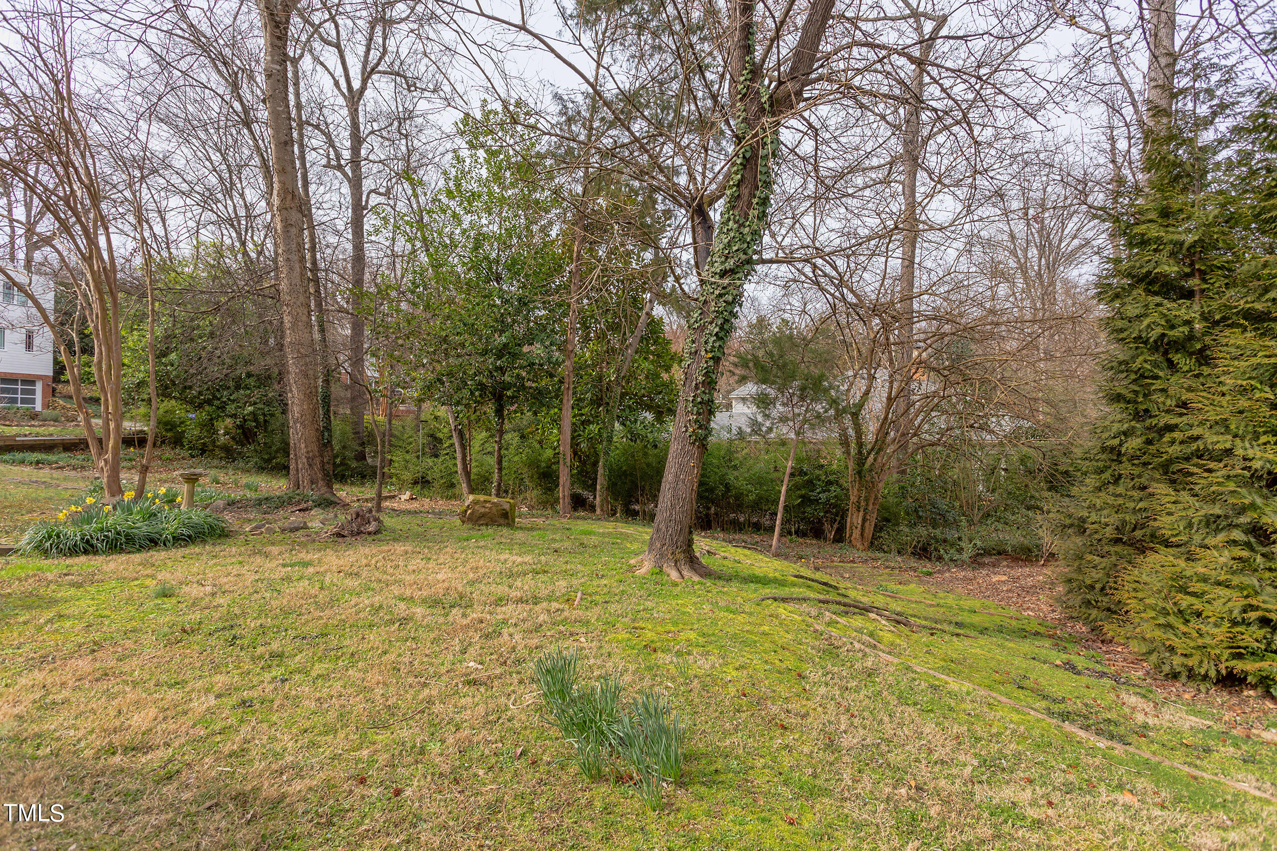 111 Ridge Lane