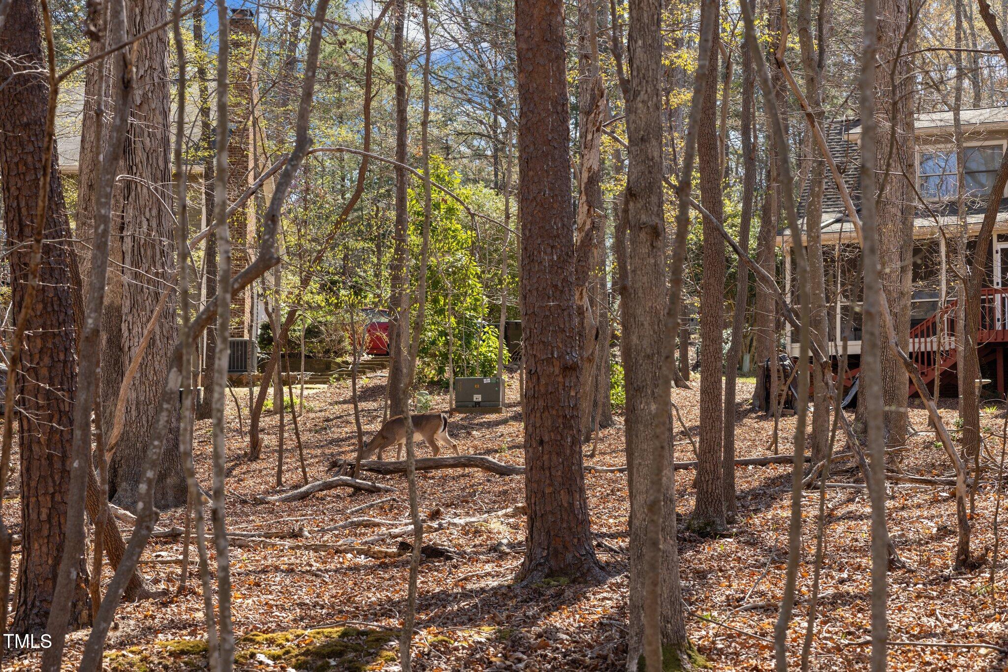 108 Ironwoods Drive Drive, Chapel Hill