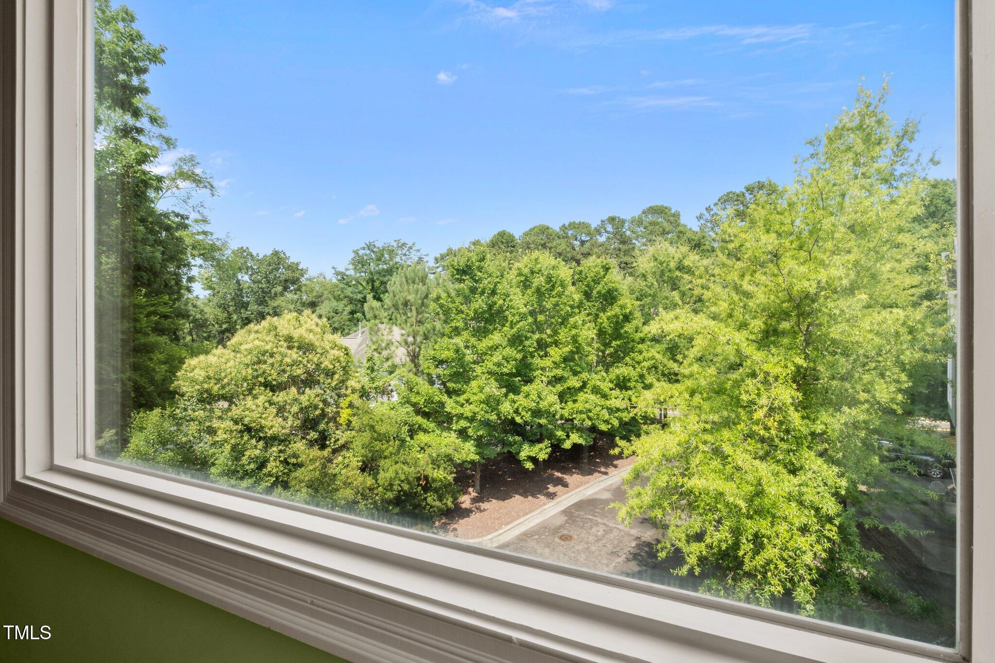 Window overlooking leafy trees and a paved area on a sunny day.