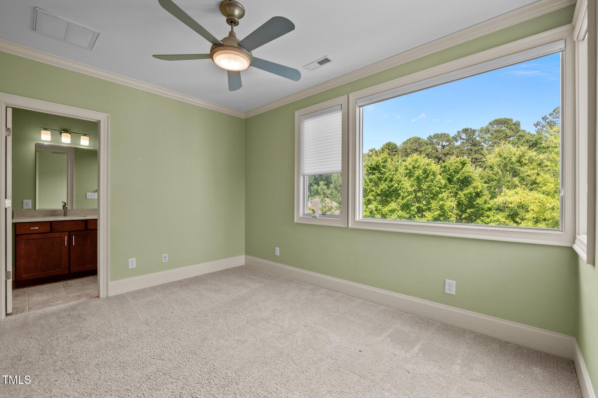 Vacant bedroom with green walls, ceiling fan, and a large window overlooking leafy trees.
