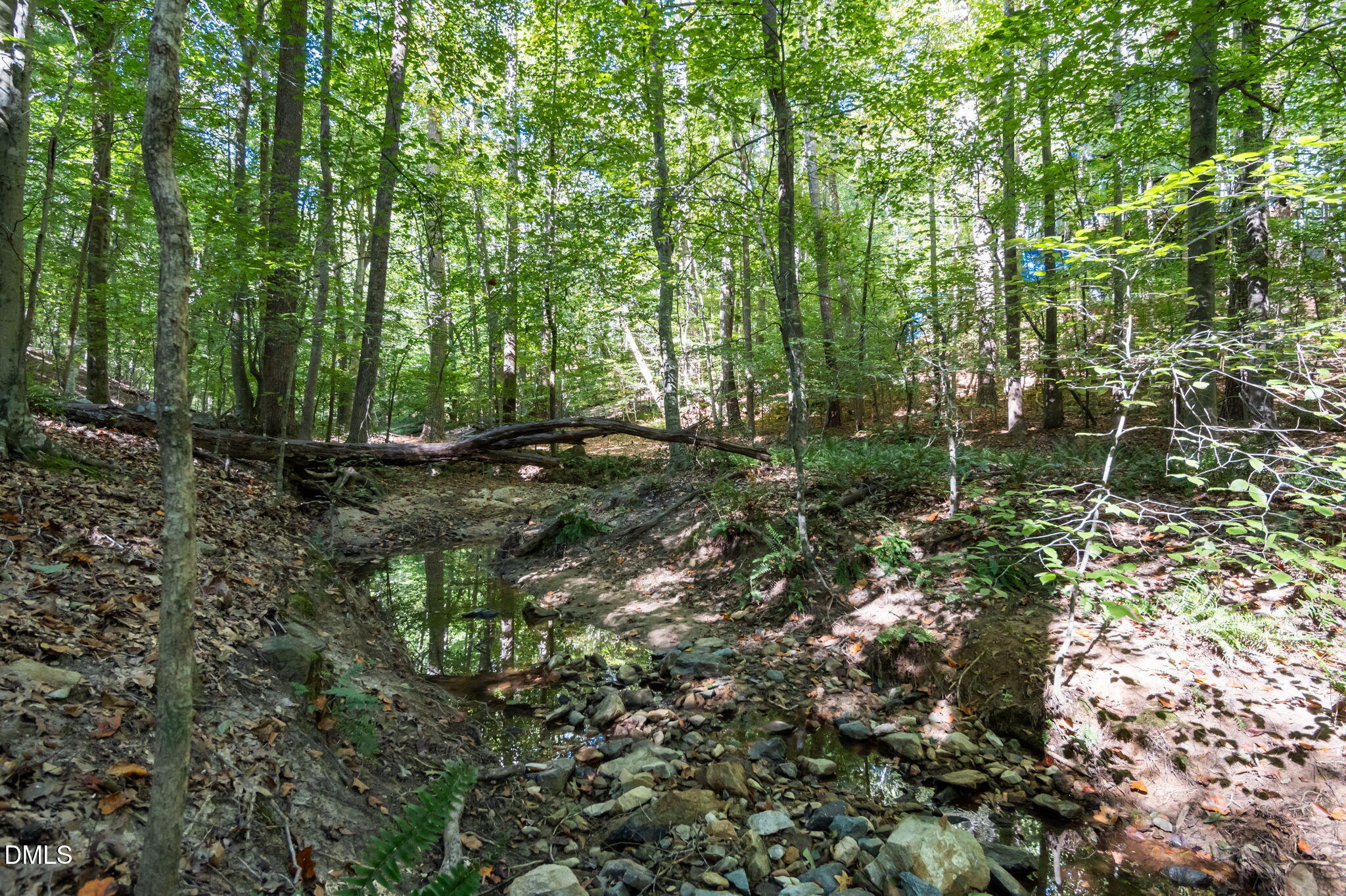 838 Shadylawn Road