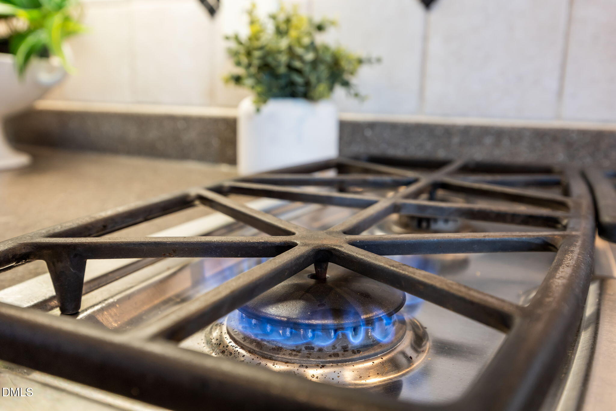 111 Lake Ridge Place