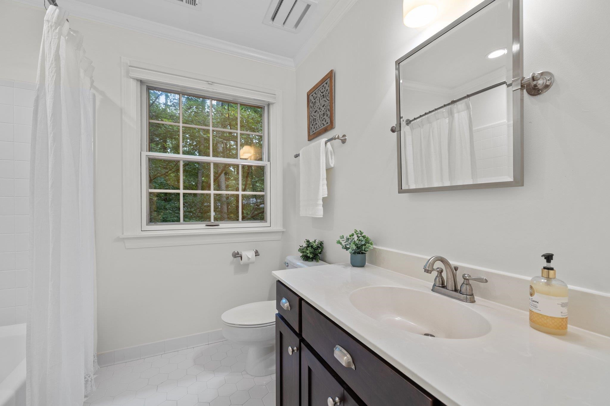 227 Old Forest Creek Drive