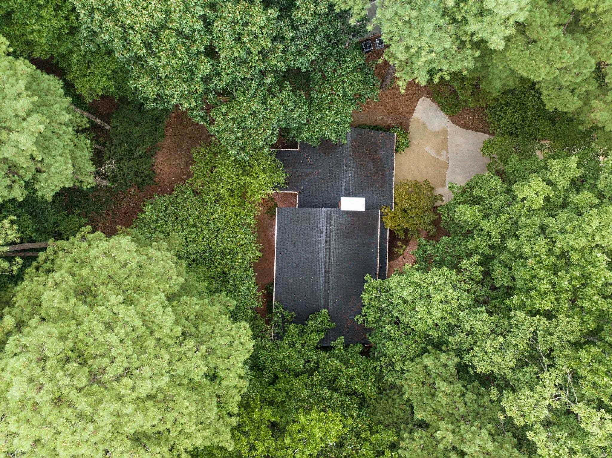 227 Old Forest Creek Drive