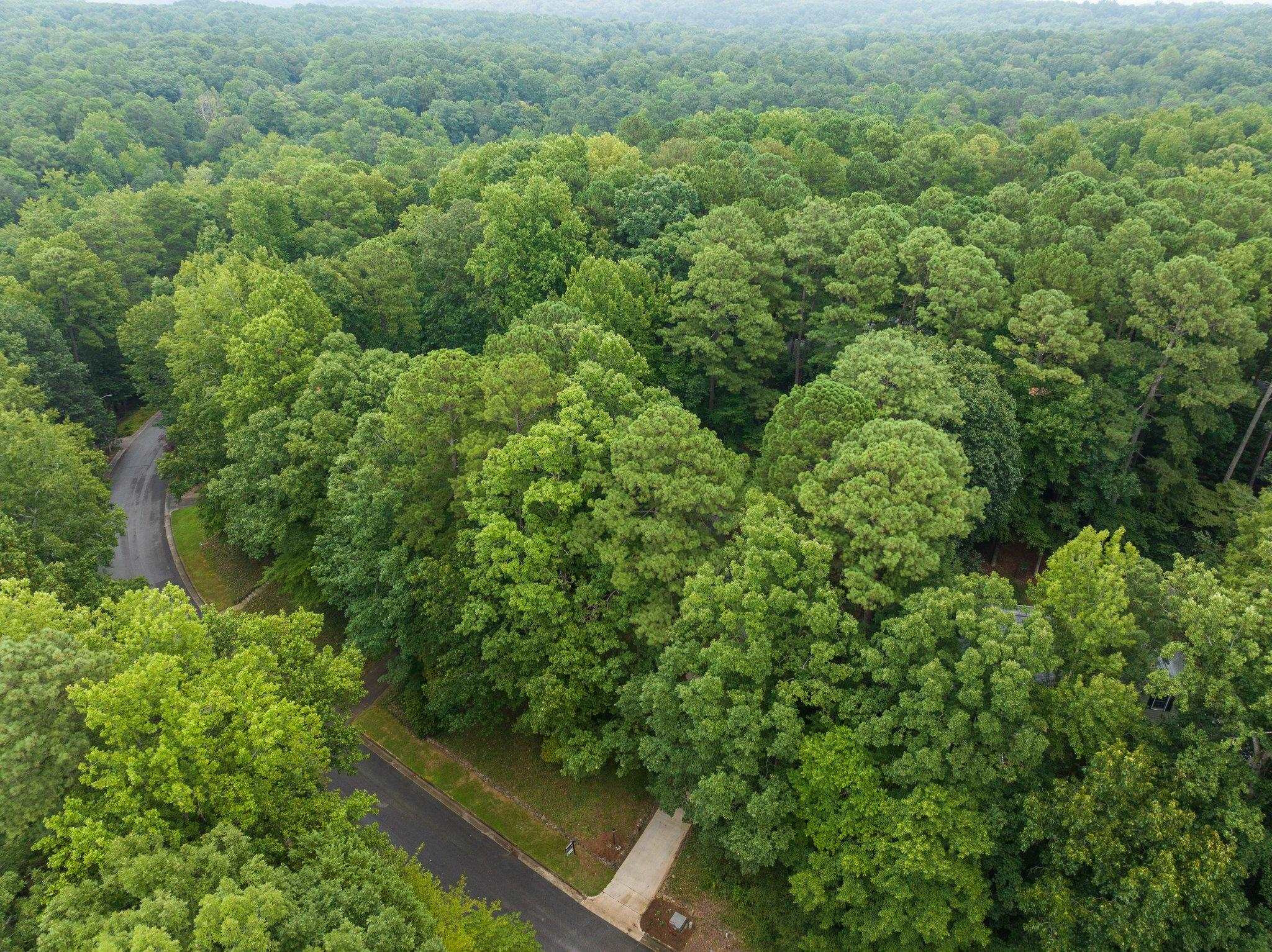 227 Old Forest Creek Drive