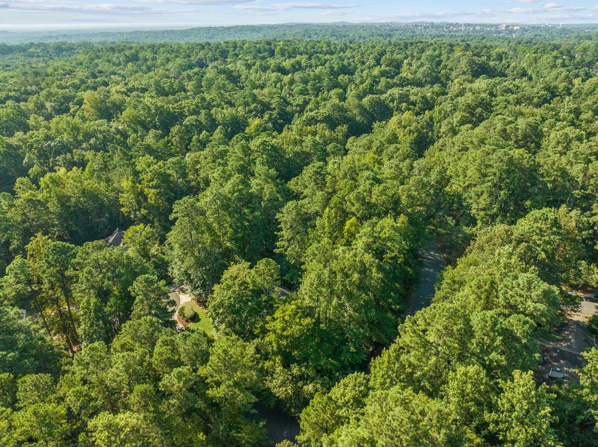 112 Old Forest Creek Drive