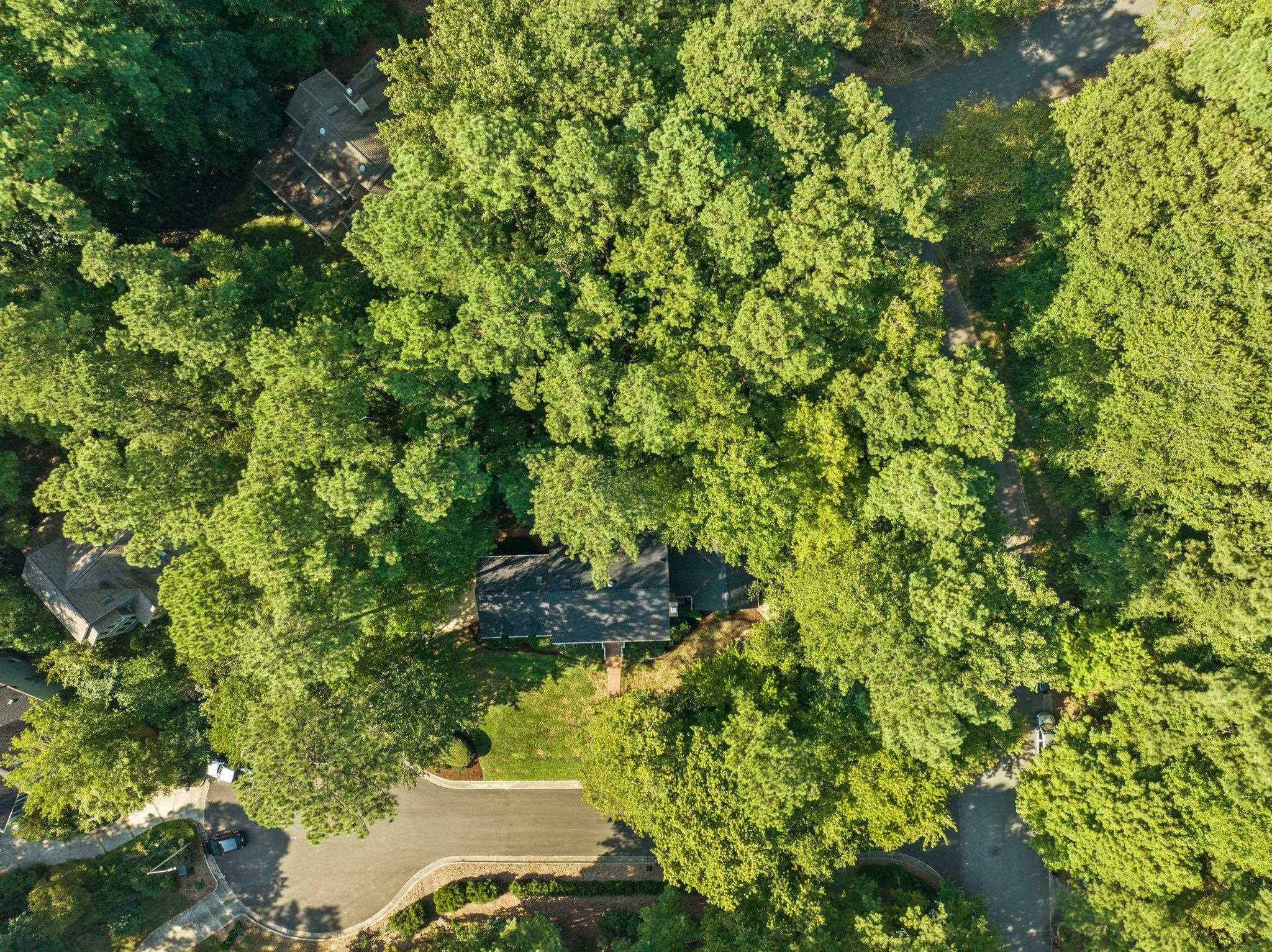112 Old Forest Creek Drive