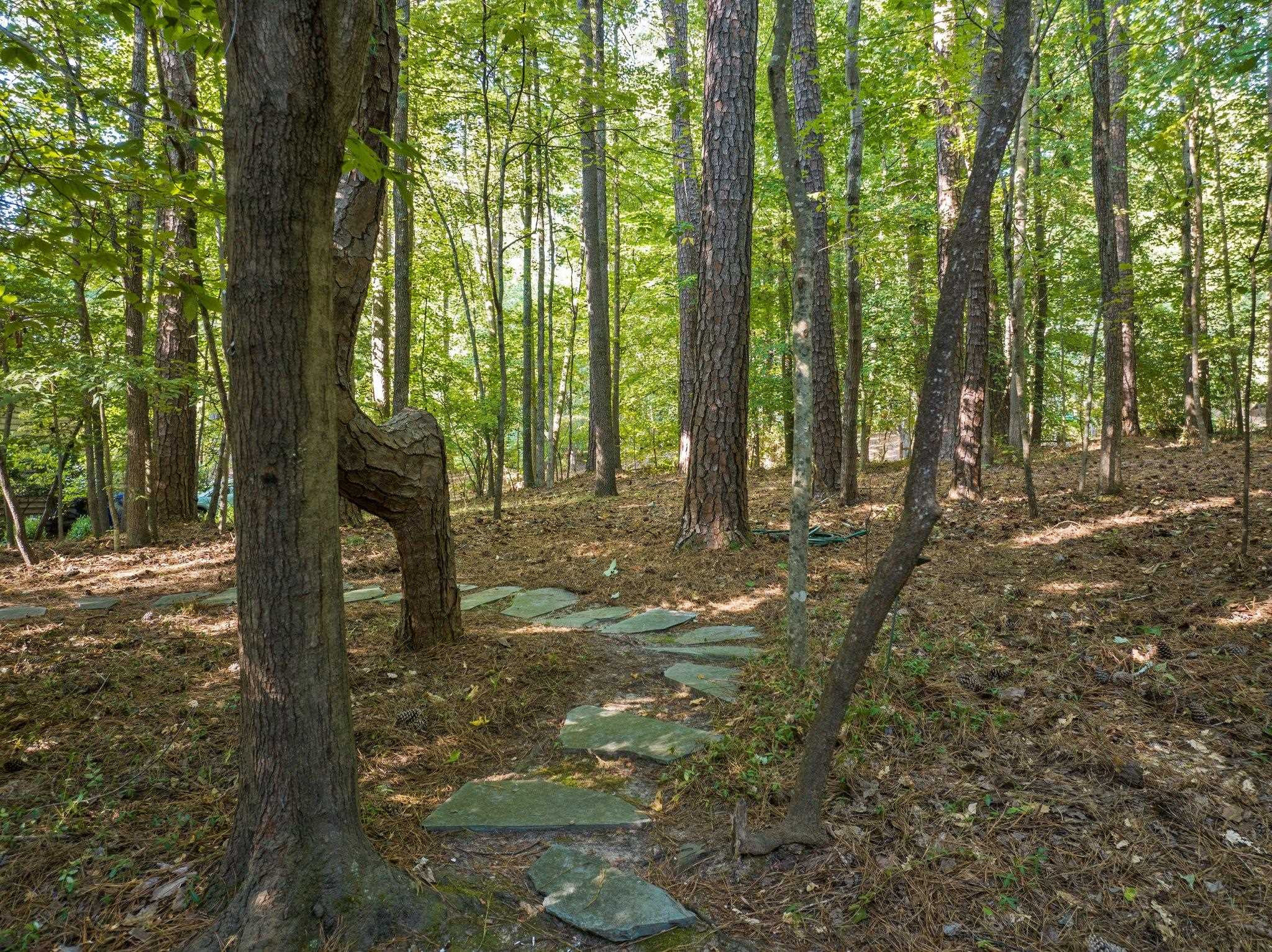 112 Old Forest Creek Drive