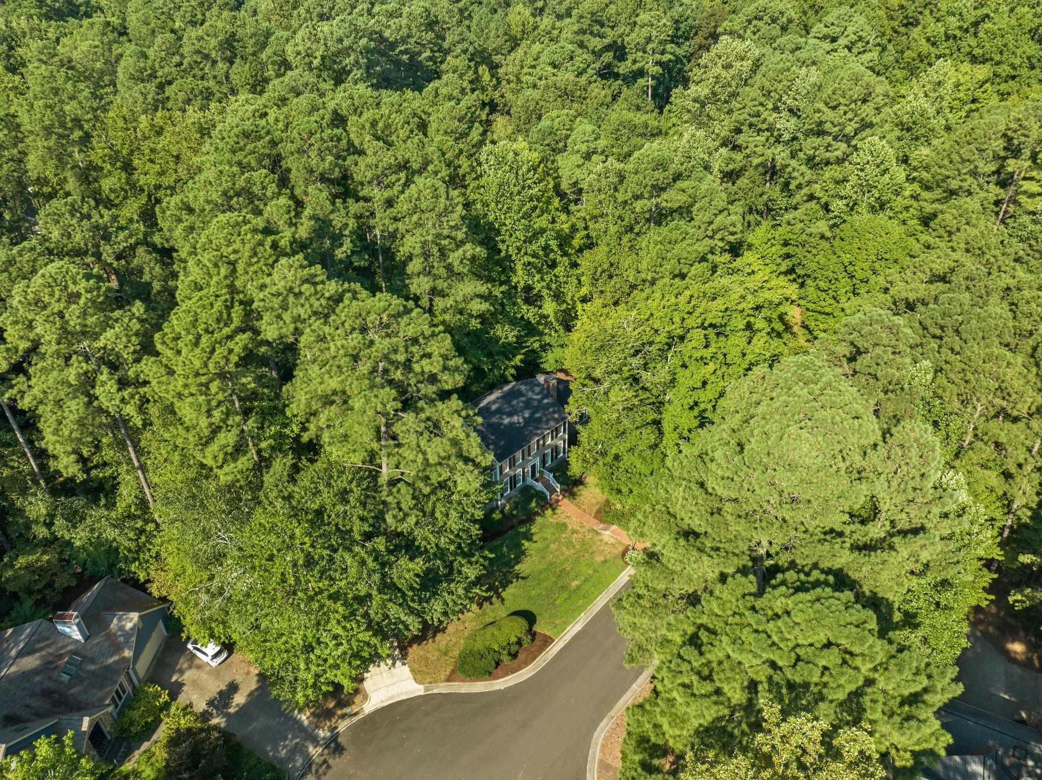 112 Old Forest Creek Drive