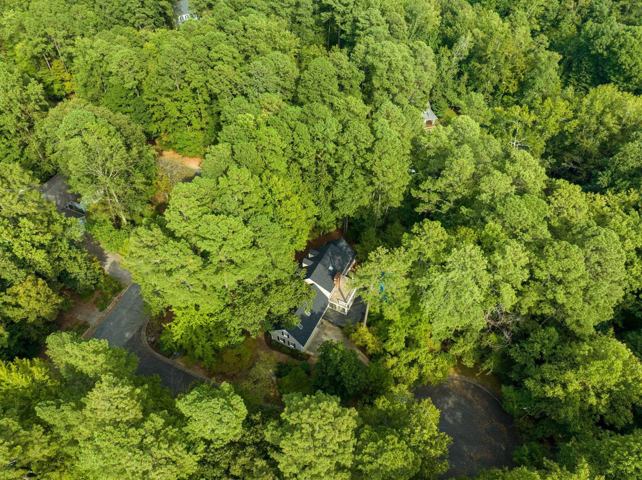 324 Old Forest Creek Drive