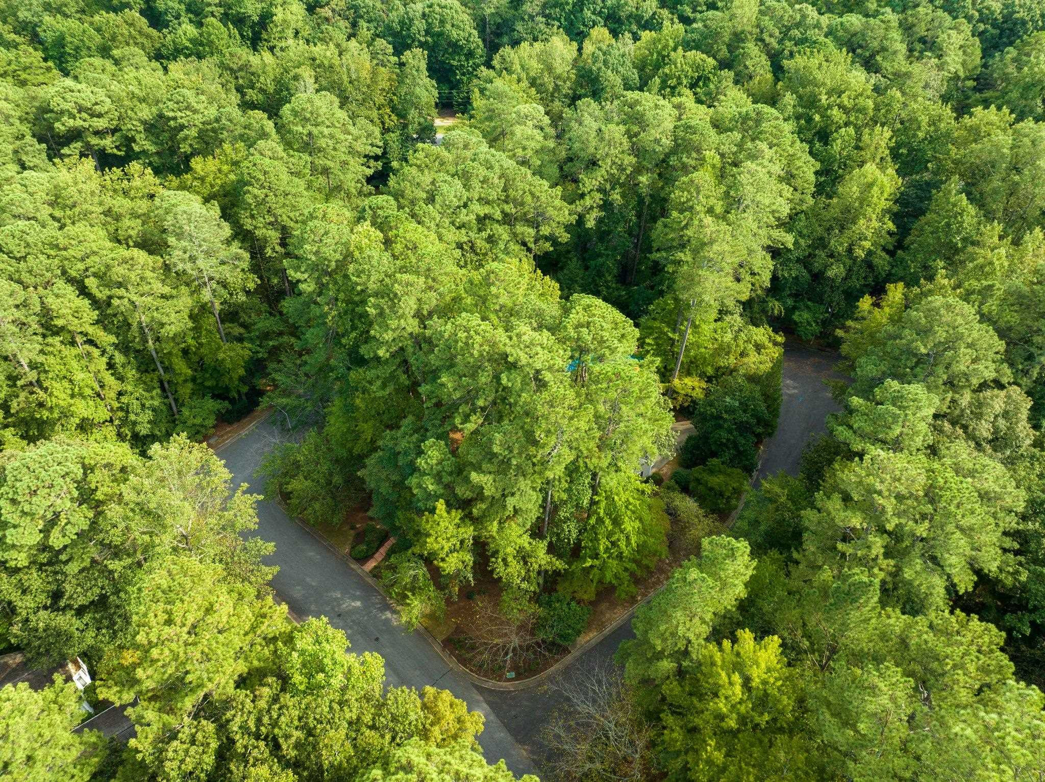 324 Old Forest Creek Drive