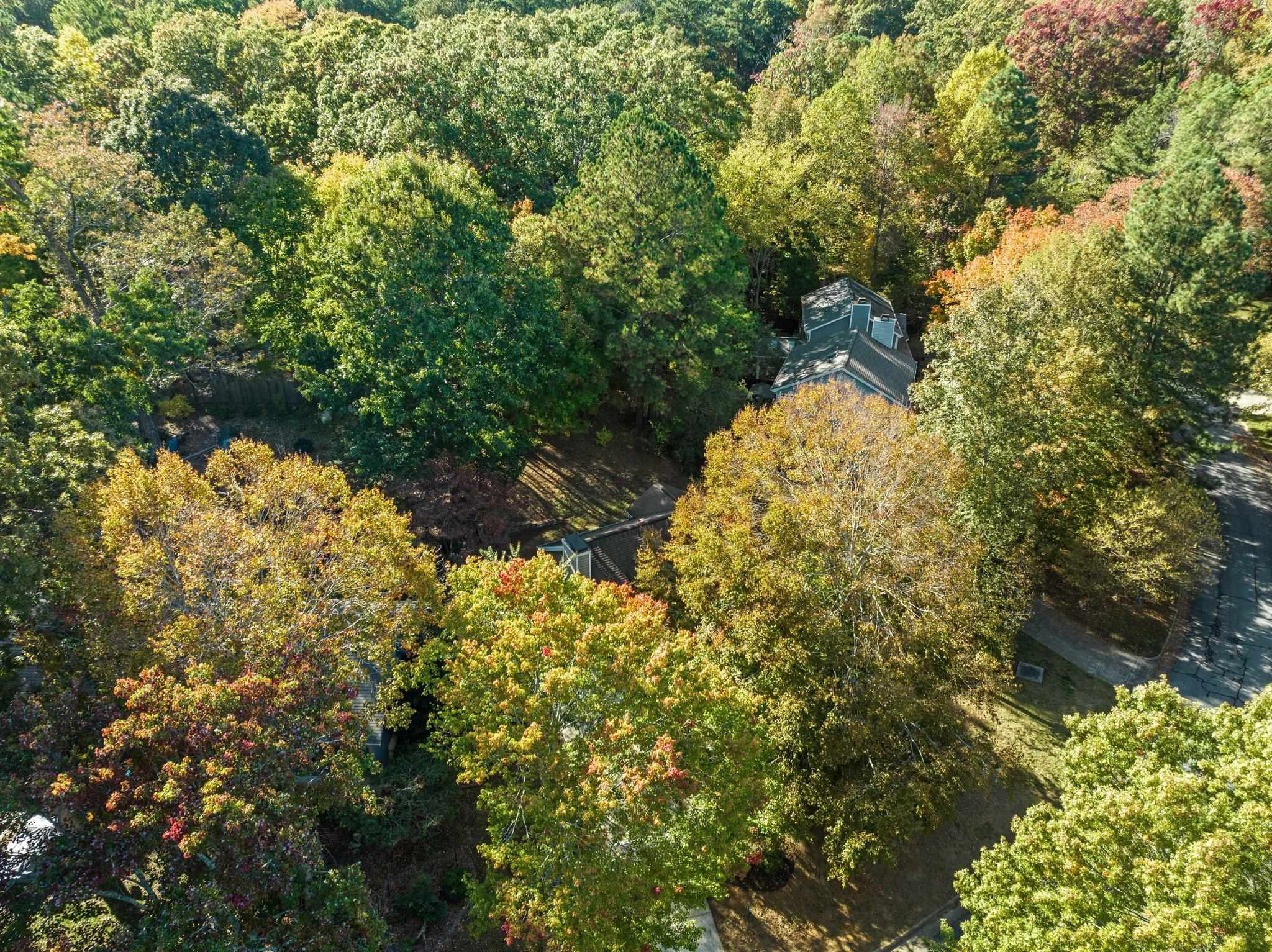 300 Forbush Mountain Drive