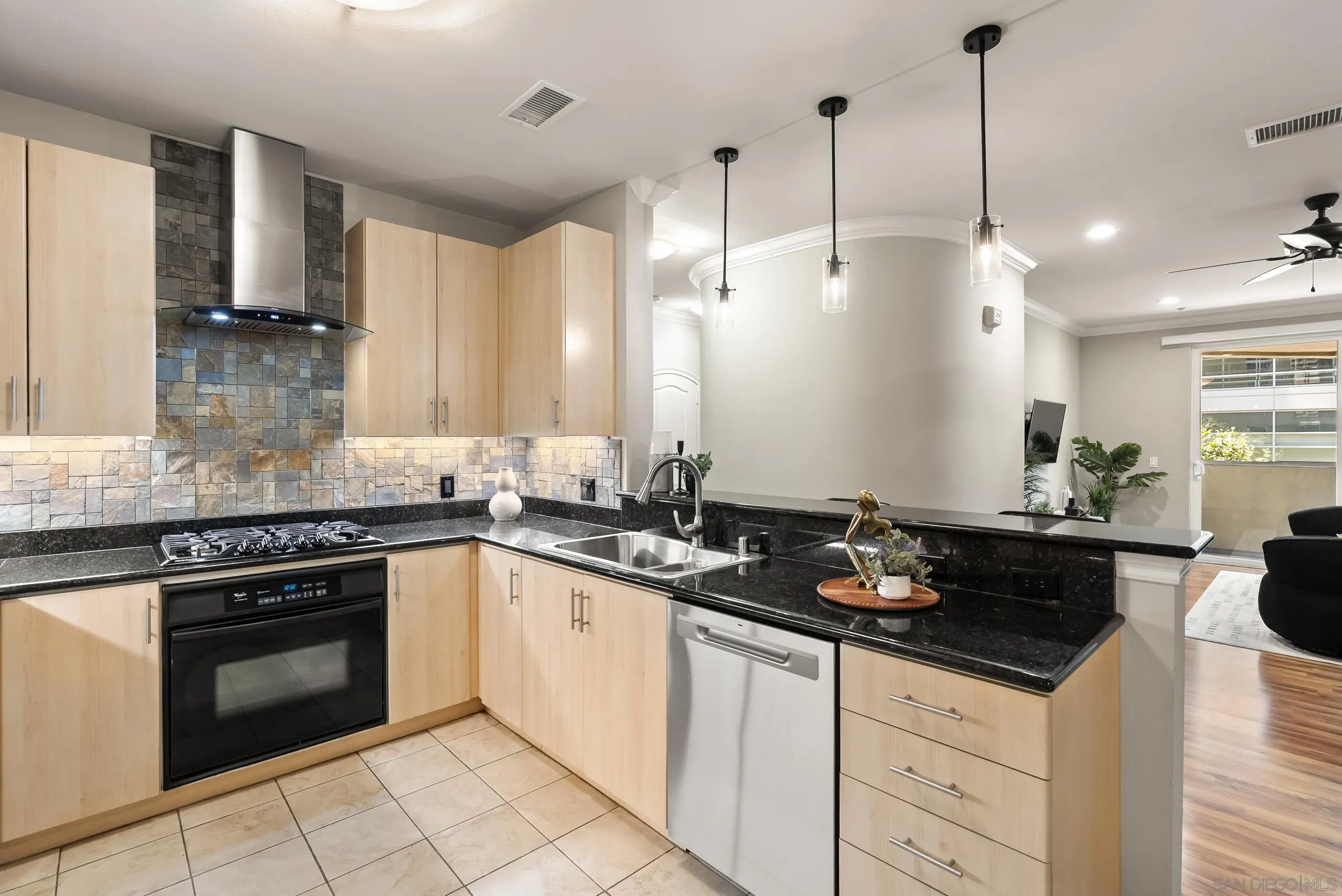 1225 Island Avenue Unit 304