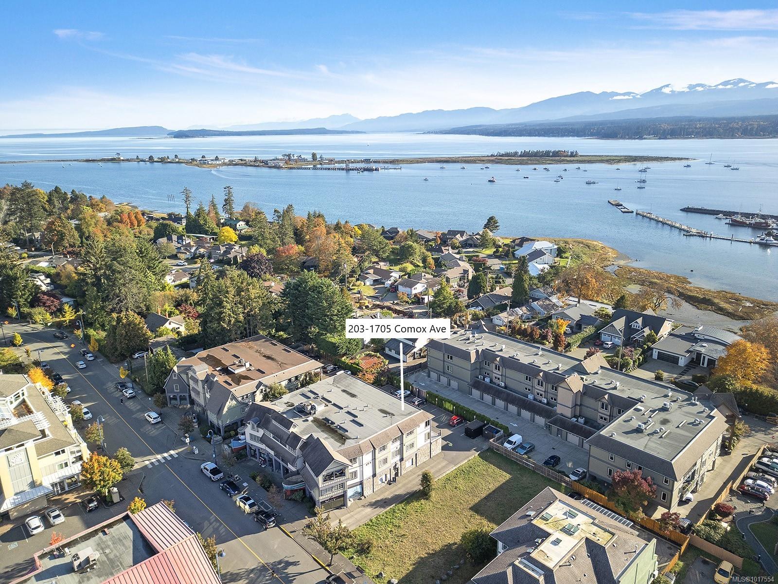 1705 Comox Ave Unit: 203