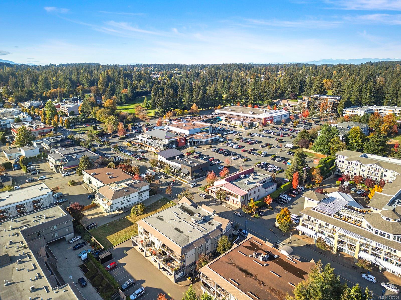 1705 Comox Ave Unit: 203