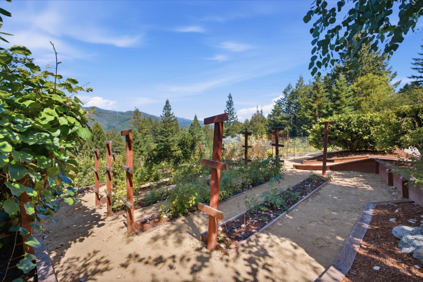 17575 Mountain Charlie RD