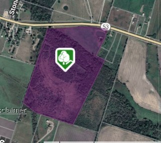 TBD State Highway 53