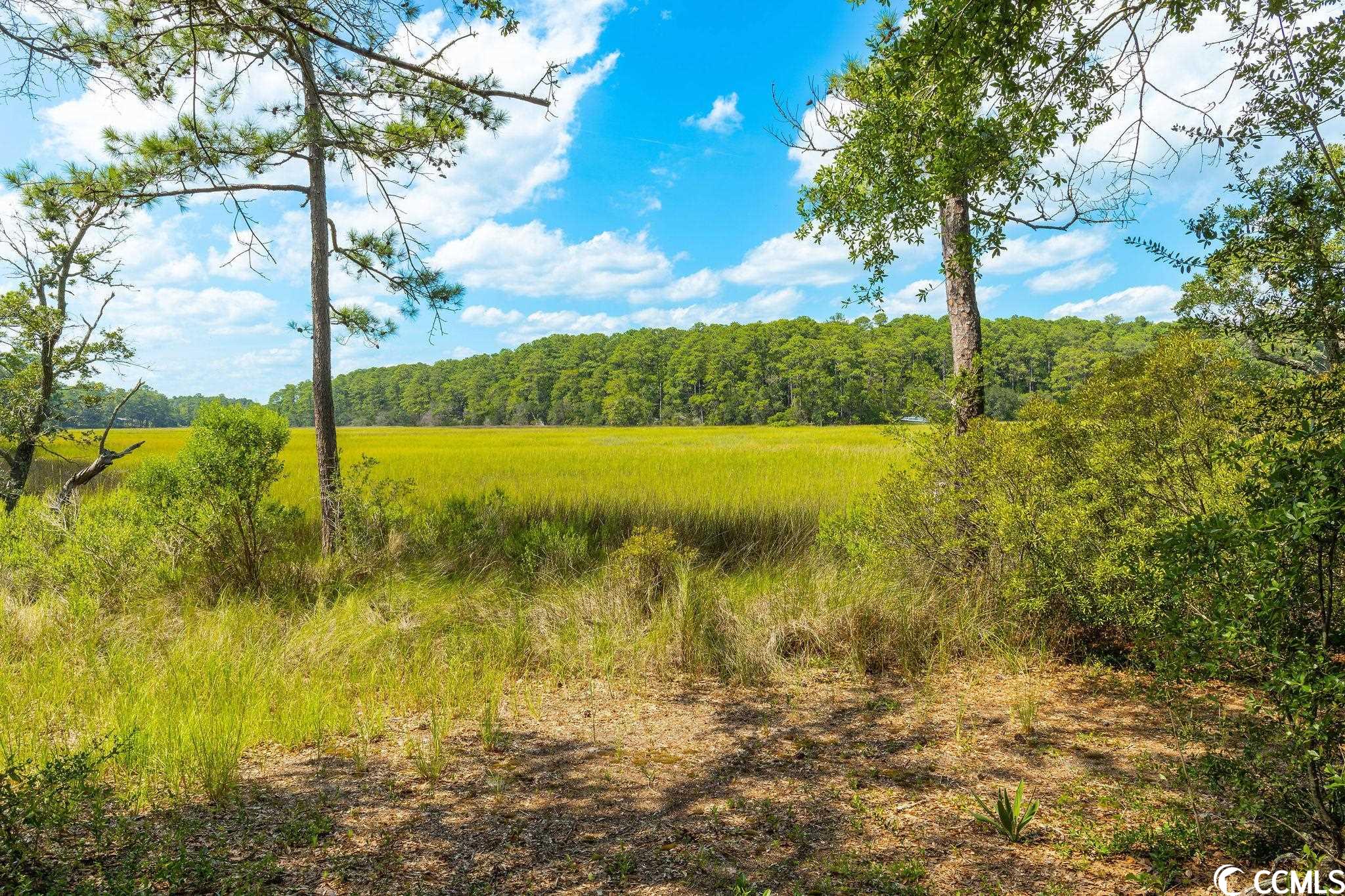 2263 Spanish Moss Ct.