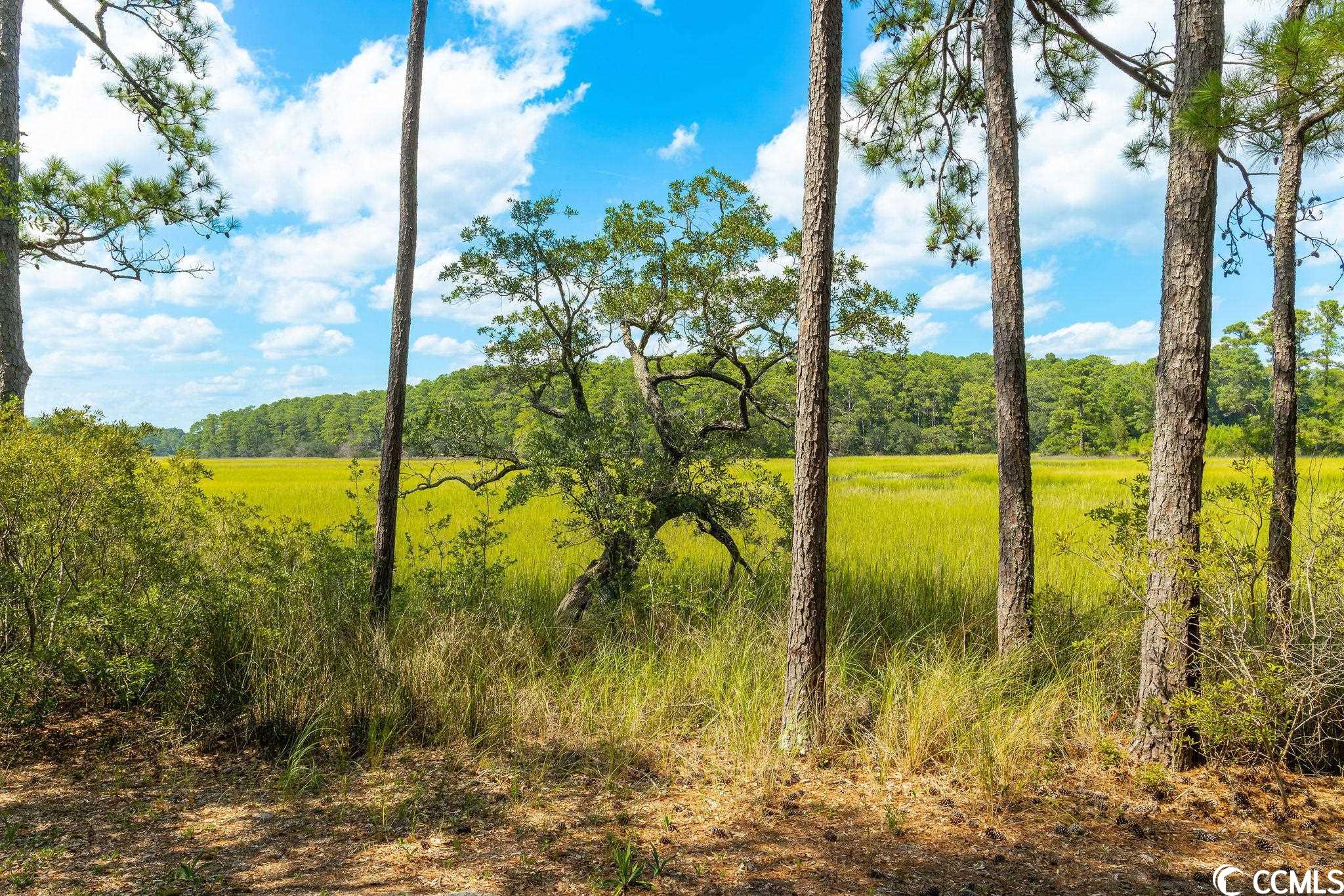 2263 Spanish Moss Ct.