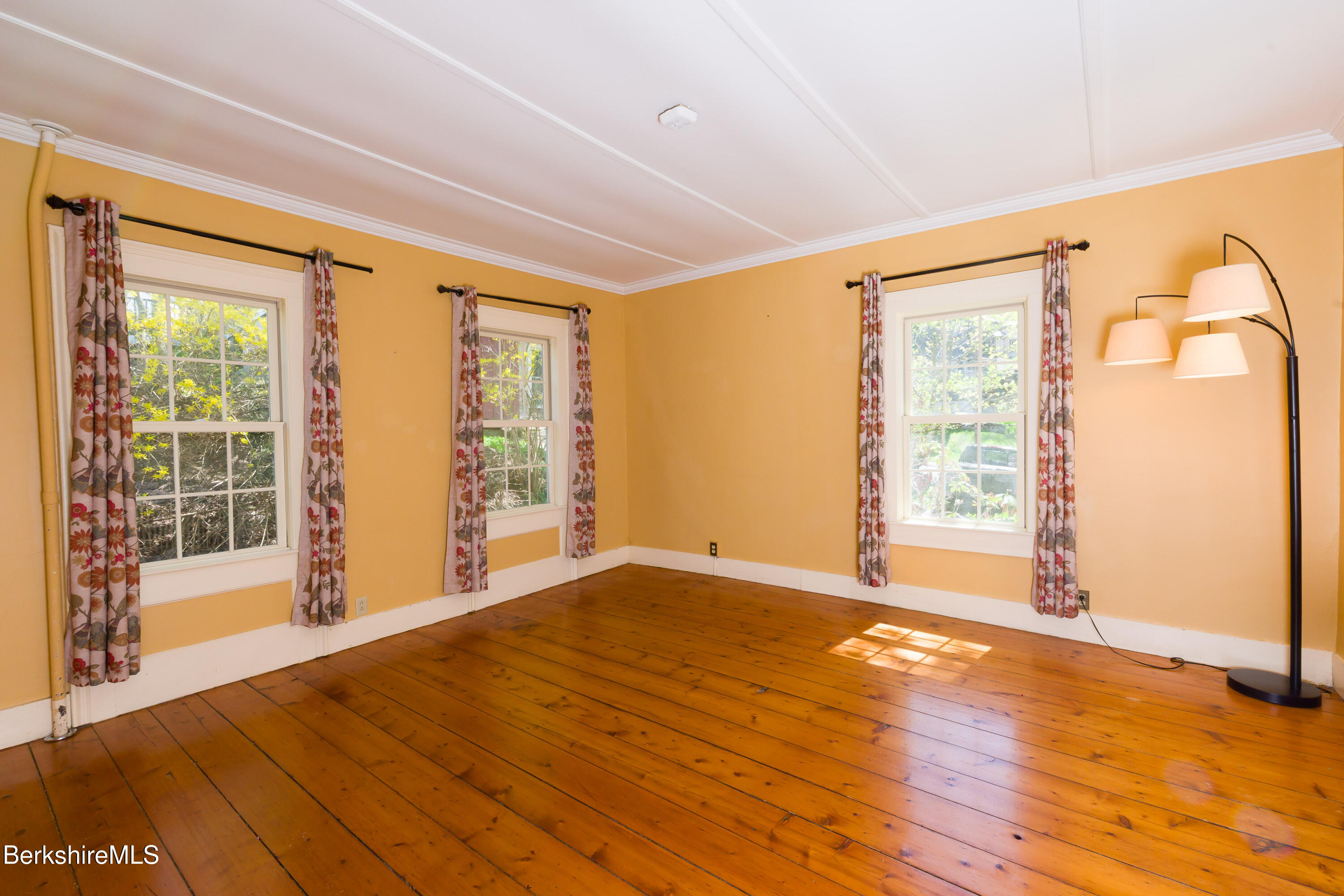 81 Elmwood Ave
