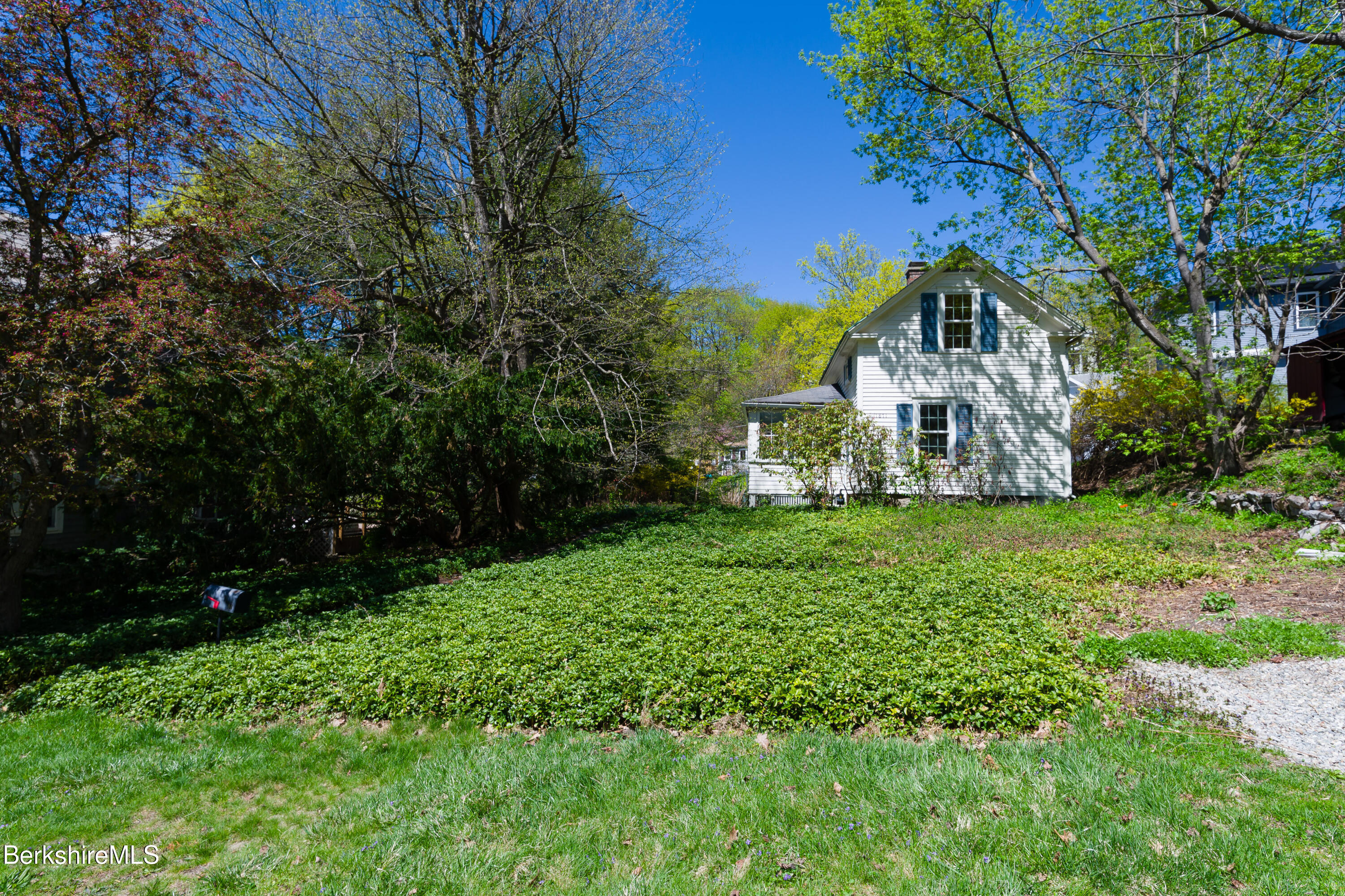 81 Elmwood Ave