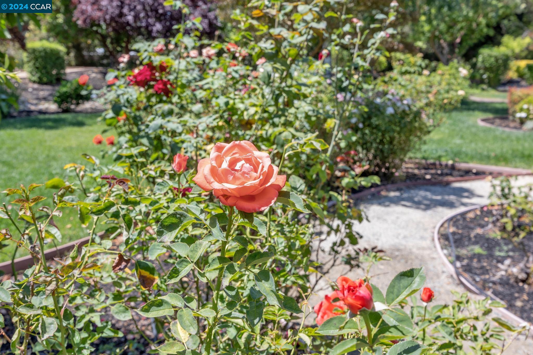 3686 Oak Creek Court