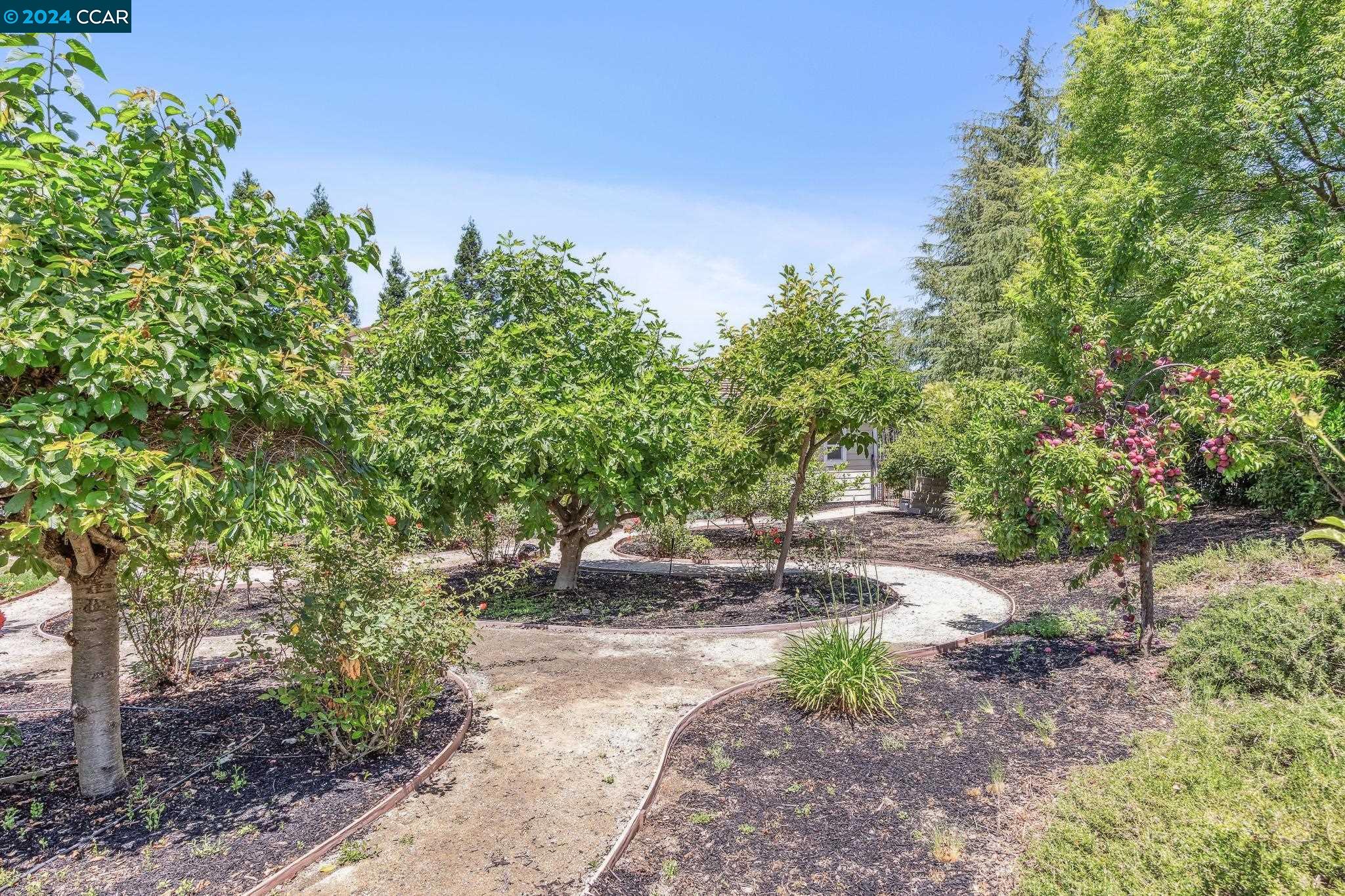 3686 Oak Creek Court