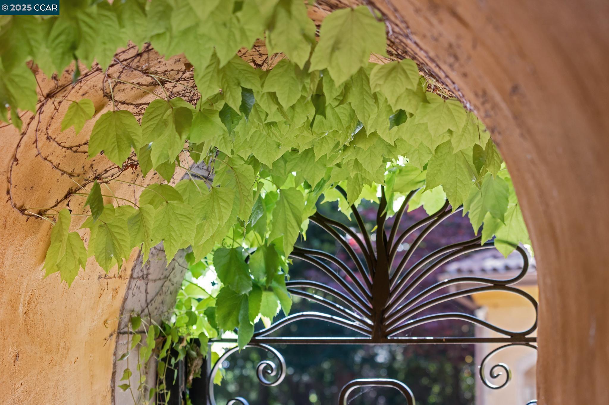 3711 Northgate Woods Court