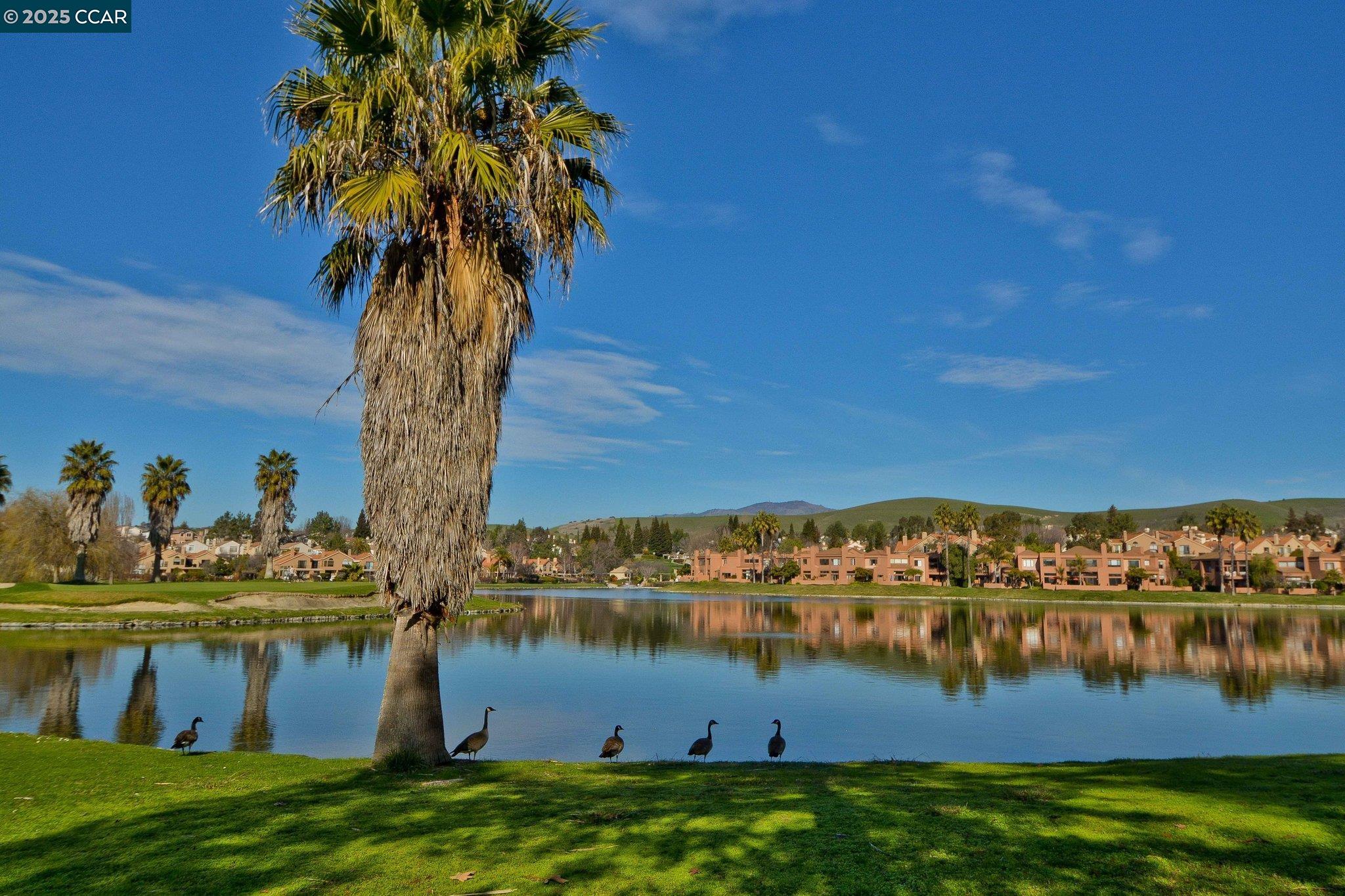 30 Eagle Lake Place # 11