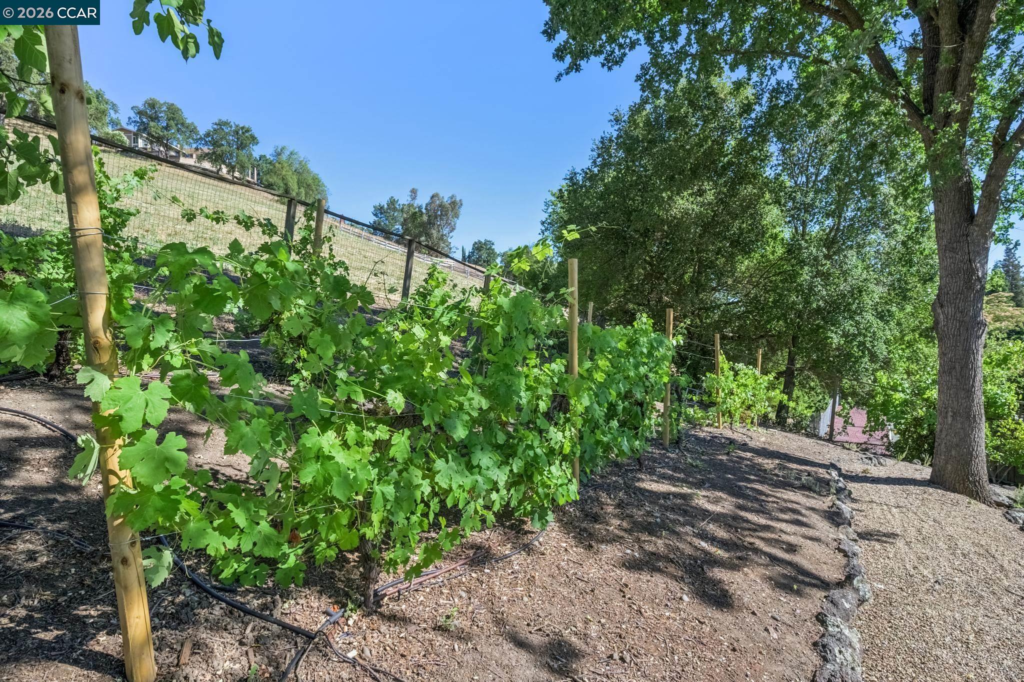 3211 Stone Valley Road