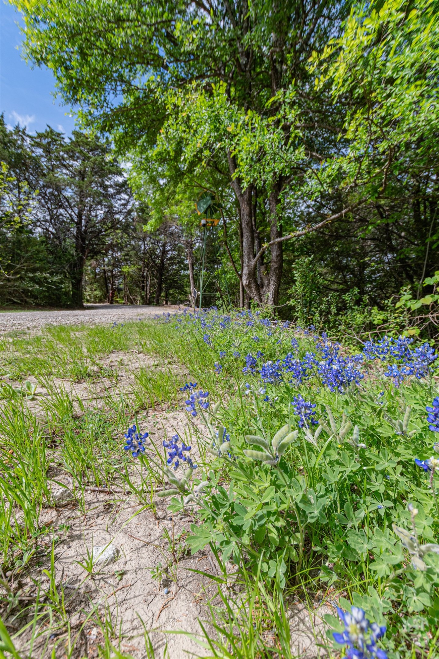 1603 Smirl Drive